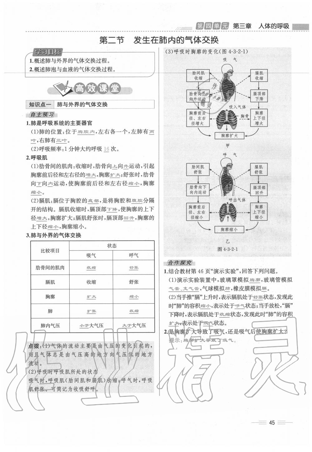 2020年人教金學典同步解析與測評七年級生物下冊人教版云南專版 第45頁