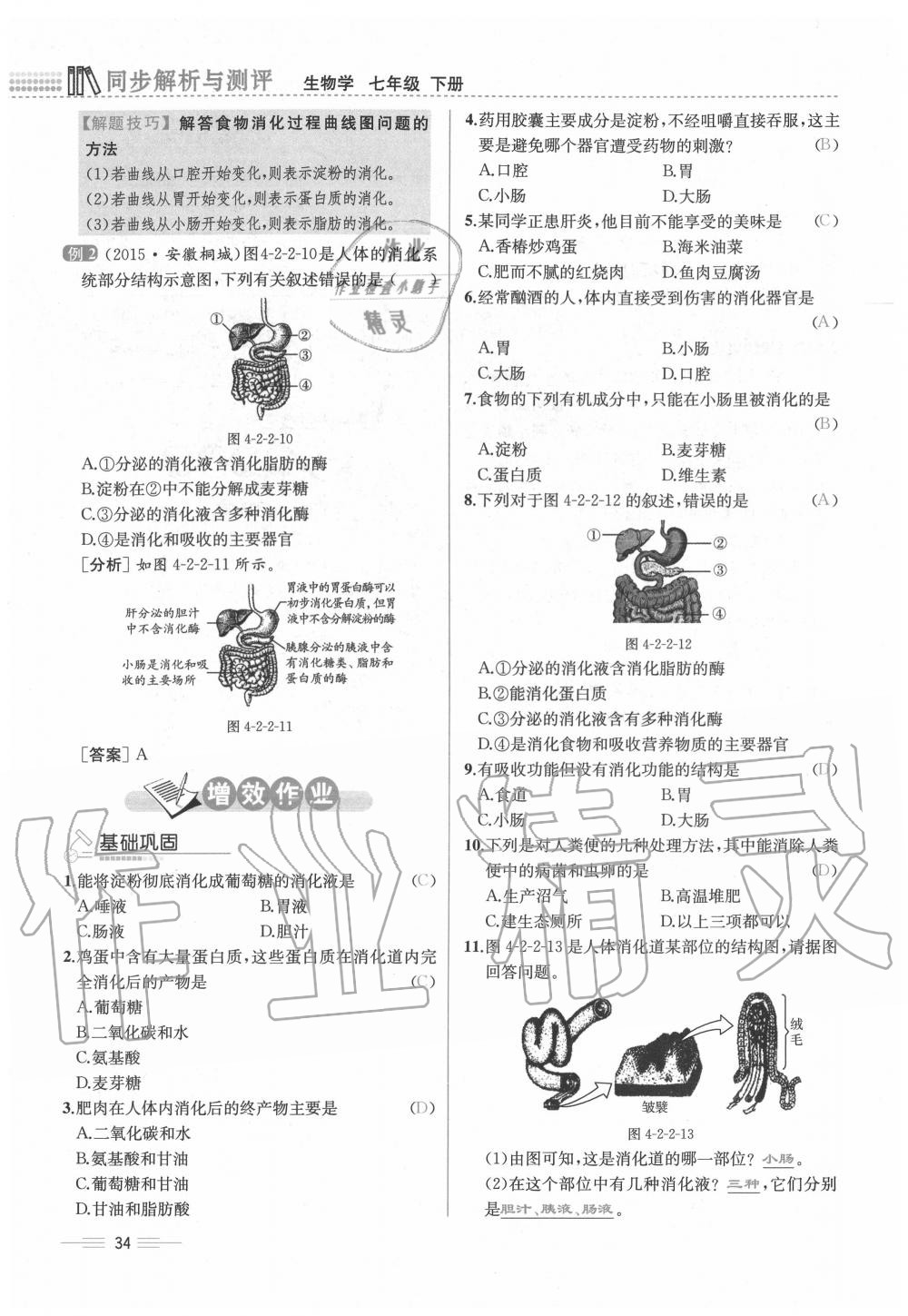 2020年人教金學(xué)典同步解析與測評七年級生物下冊人教版云南專版 第34頁