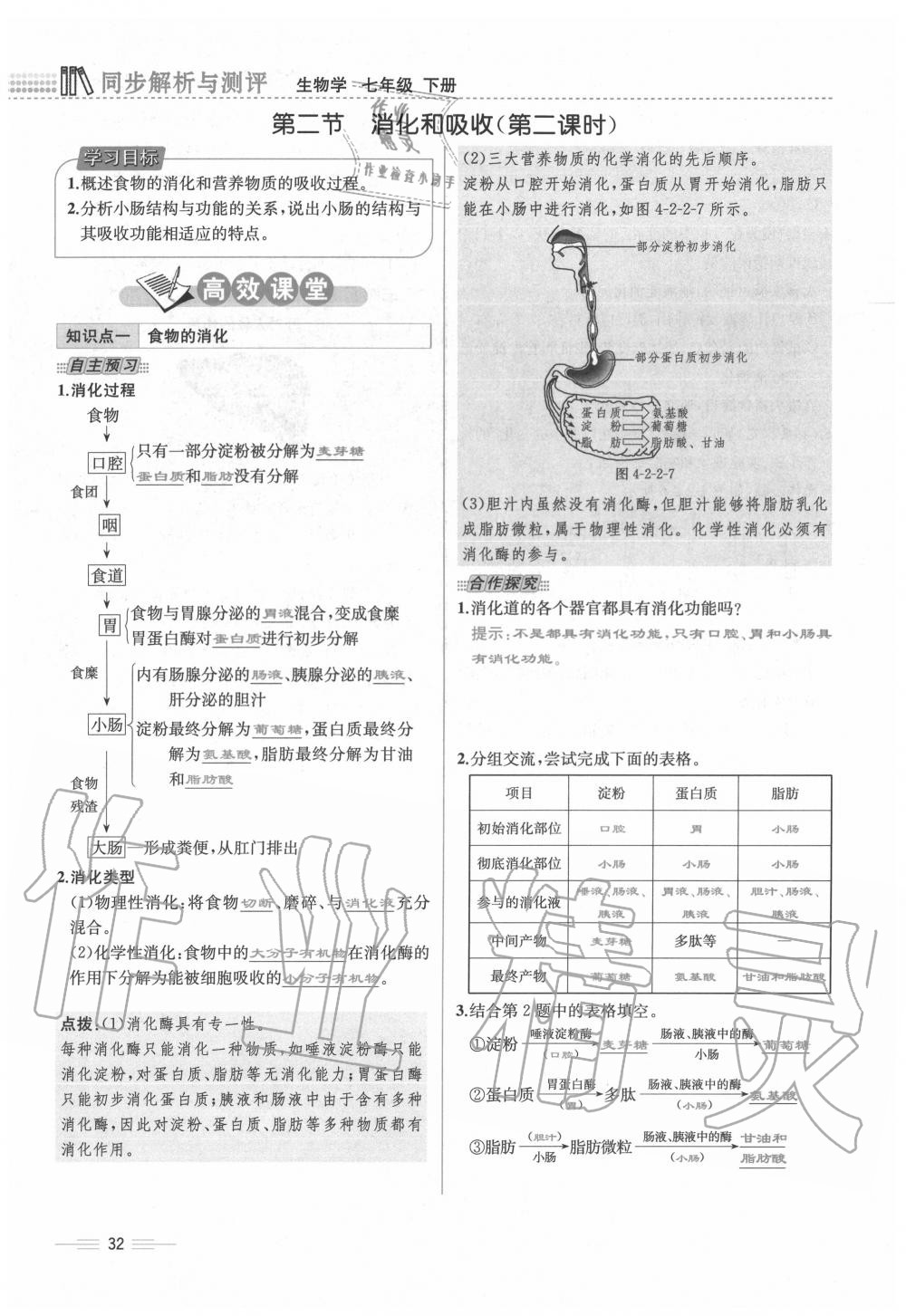 2020年人教金學(xué)典同步解析與測(cè)評(píng)七年級(jí)生物下冊(cè)人教版云南專版 第32頁(yè)