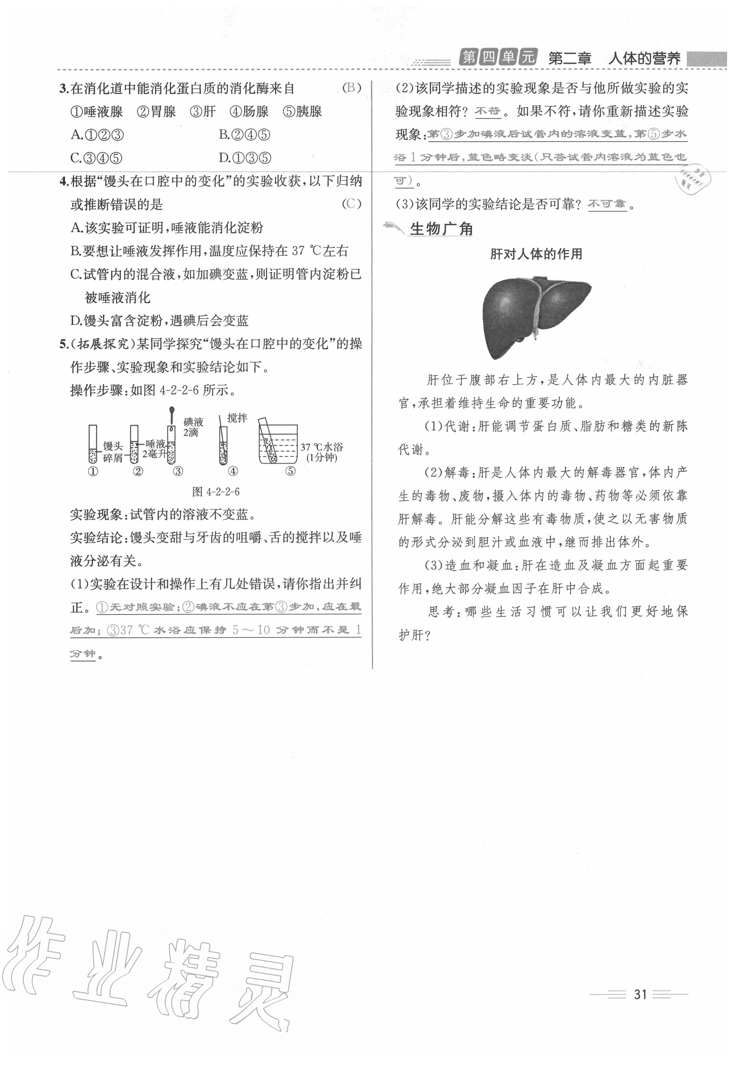 2020年人教金學(xué)典同步解析與測評七年級生物下冊人教版云南專版 第31頁