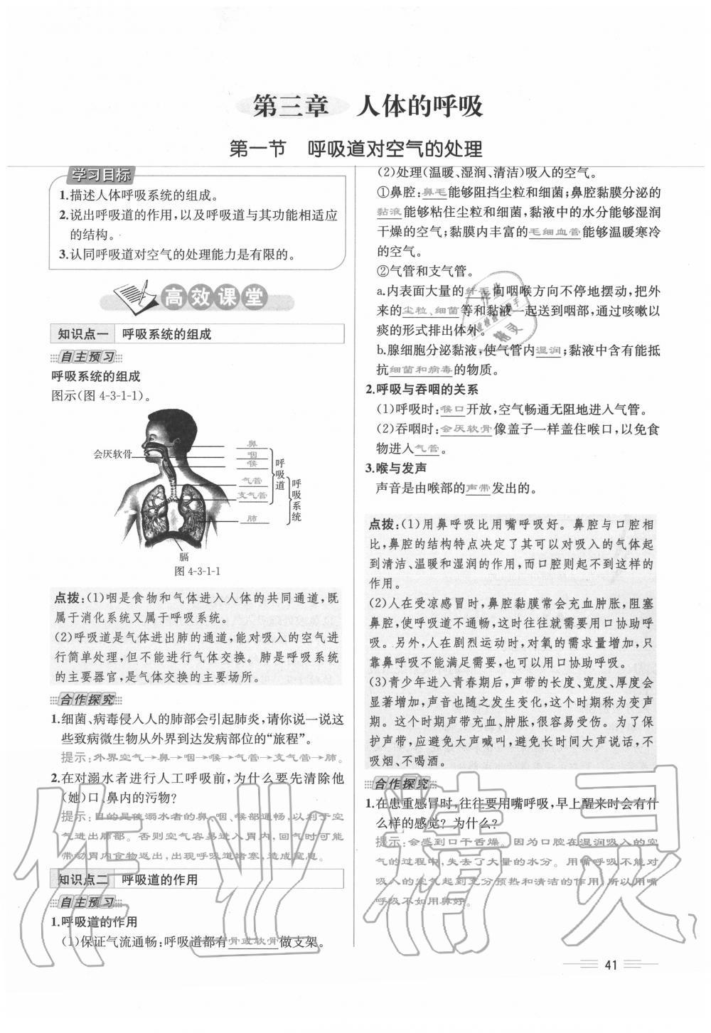 2020年人教金學(xué)典同步解析與測(cè)評(píng)七年級(jí)生物下冊(cè)人教版云南專(zhuān)版 第41頁(yè)