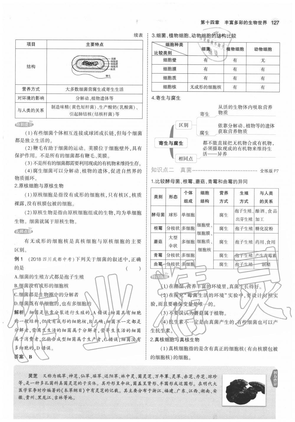 2020年教材課本八年級(jí)生物上冊蘇教版 參考答案第9頁