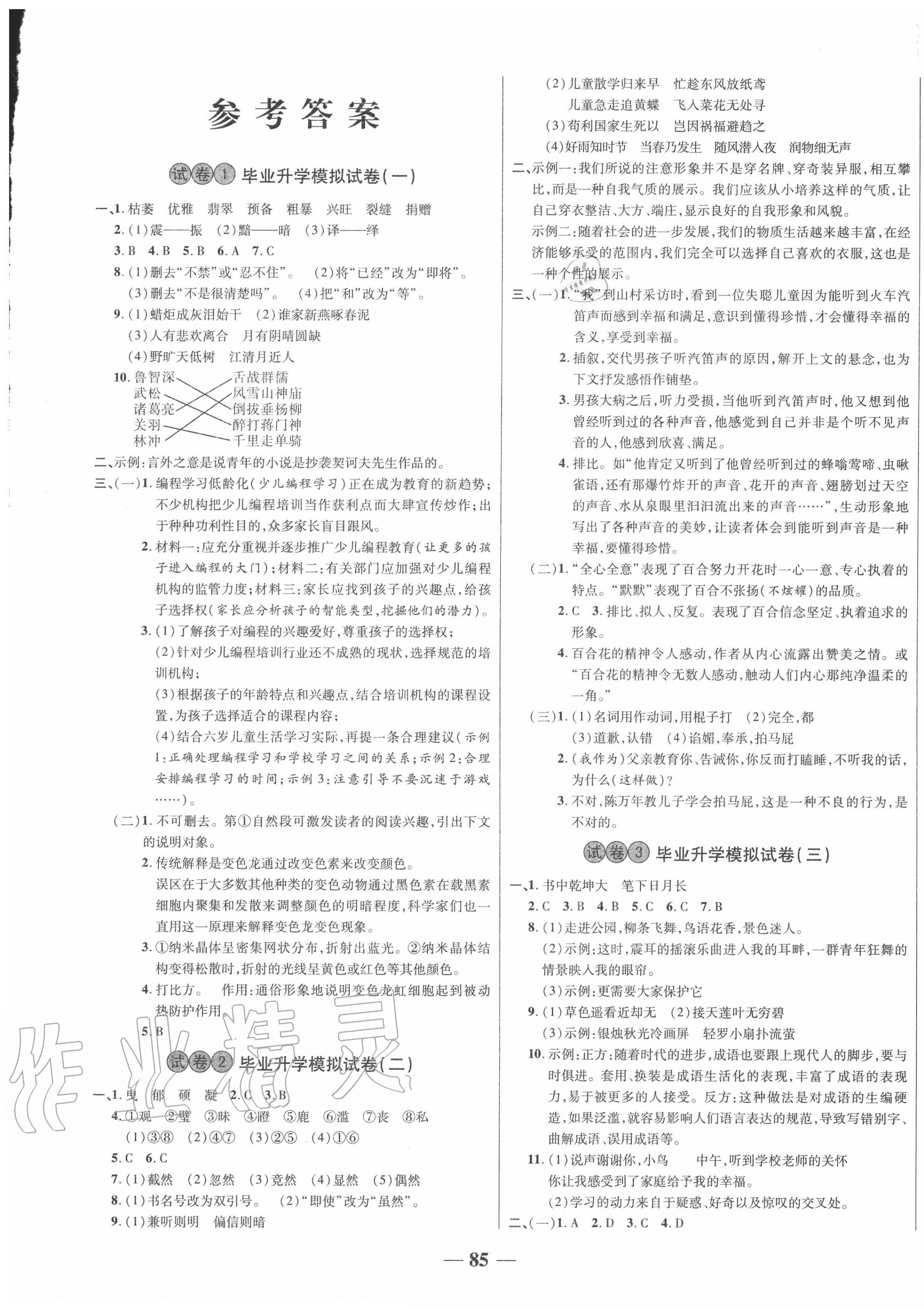 2020年金优教辅小考王全真模拟试卷语文