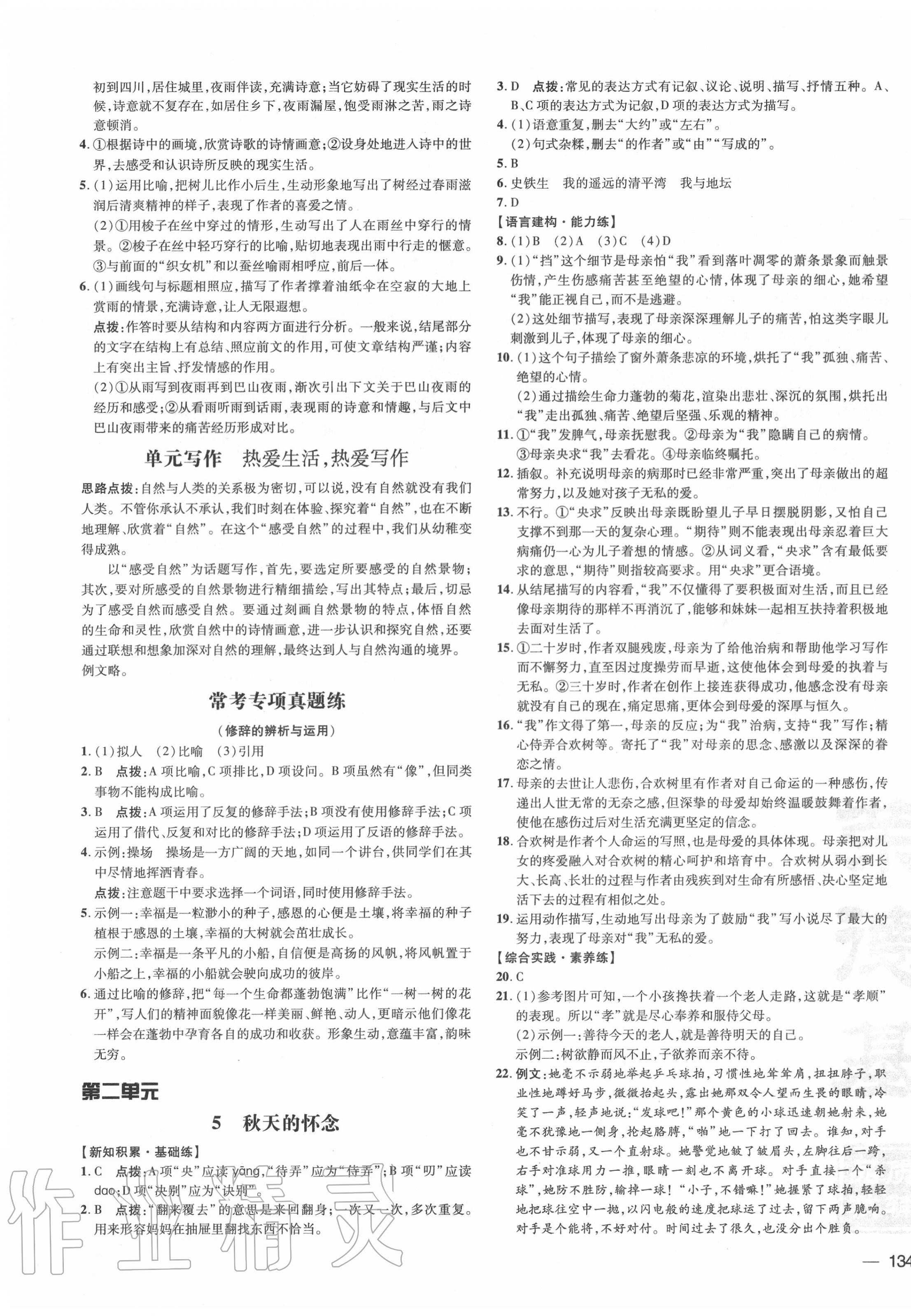 2020年點(diǎn)撥訓(xùn)練七年級(jí)語文上冊(cè)人教版 參考答案第3頁