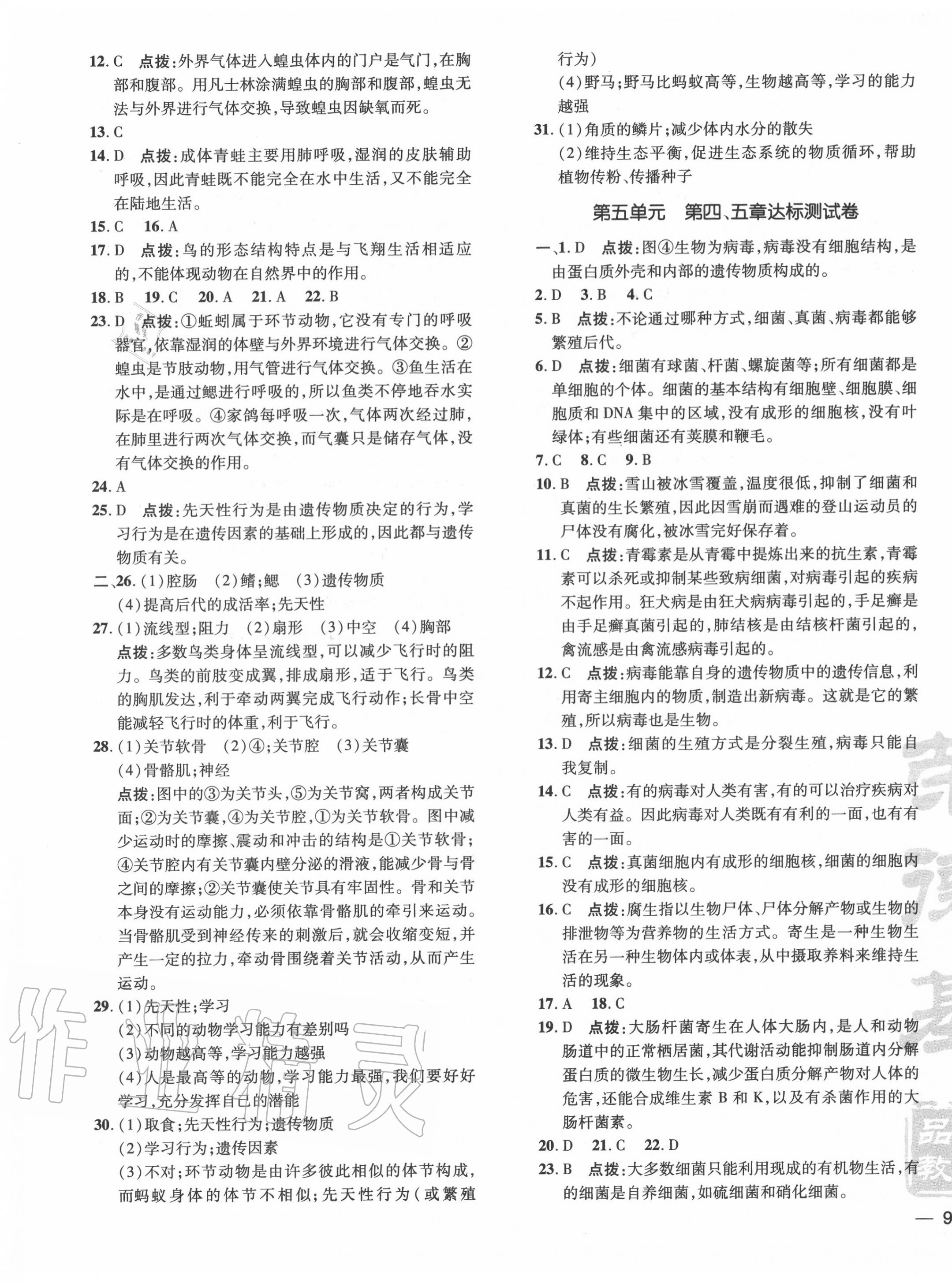 2020年點(diǎn)撥訓(xùn)練八年級生物上冊人教版 參考答案第3頁