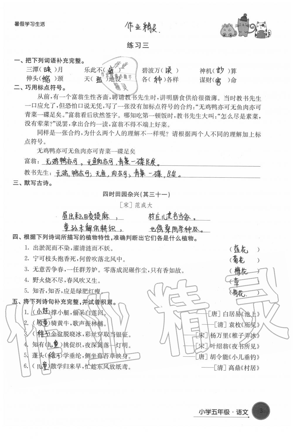 2020年暑假学习生活小学五年级译林出版社 第3页