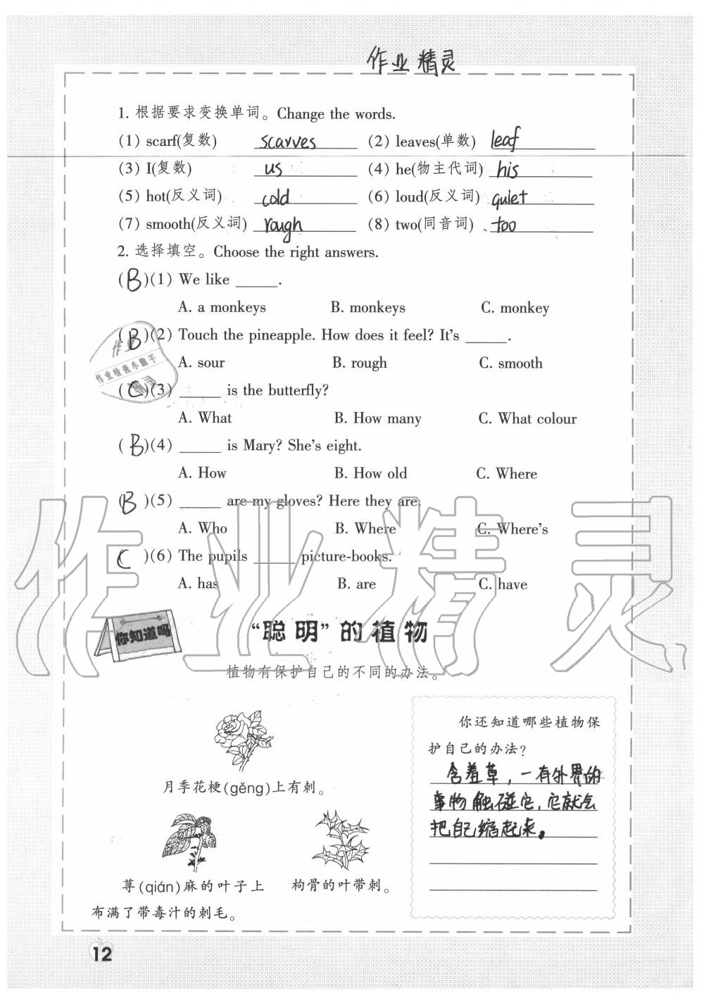 2020年暑假生活三年级 参考答案第12页