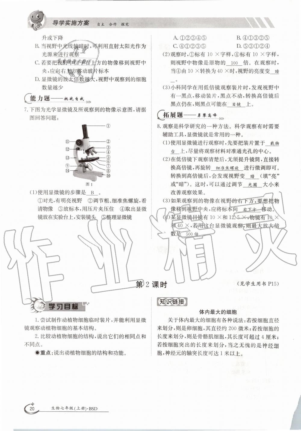 2020年金太陽導(dǎo)學(xué)案七年級生物上冊北師大版 參考答案第20頁