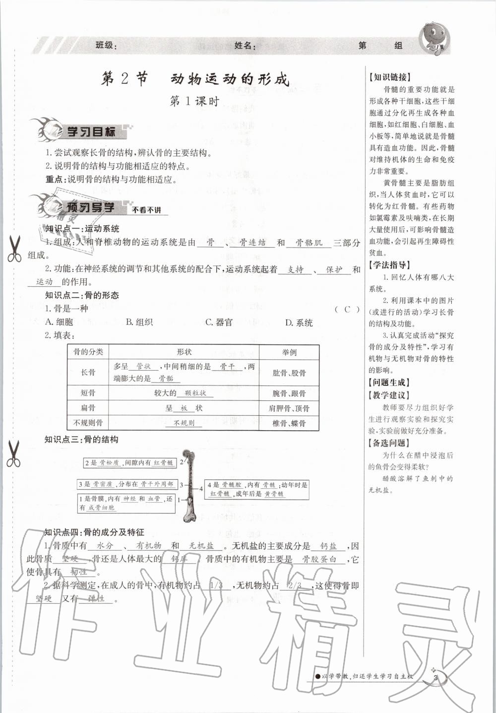 2020年金太陽(yáng)導(dǎo)學(xué)案八年級(jí)生物上冊(cè)北師大版 參考答案第3頁(yè)