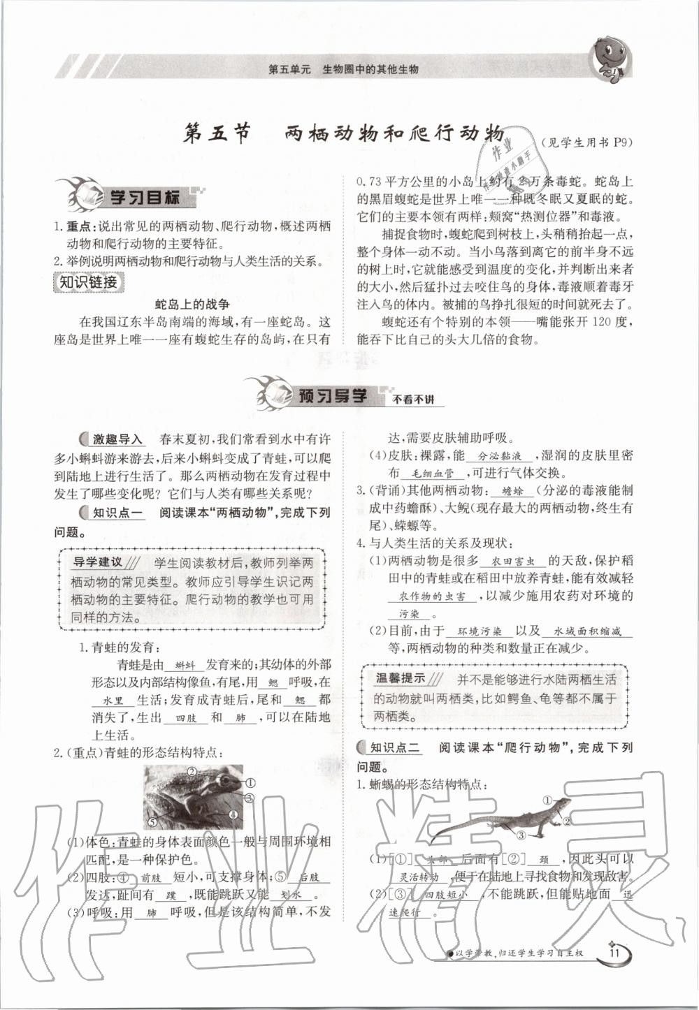 2020年金太陽導(dǎo)學(xué)測評八年級生物上冊人教版 參考答案第11頁