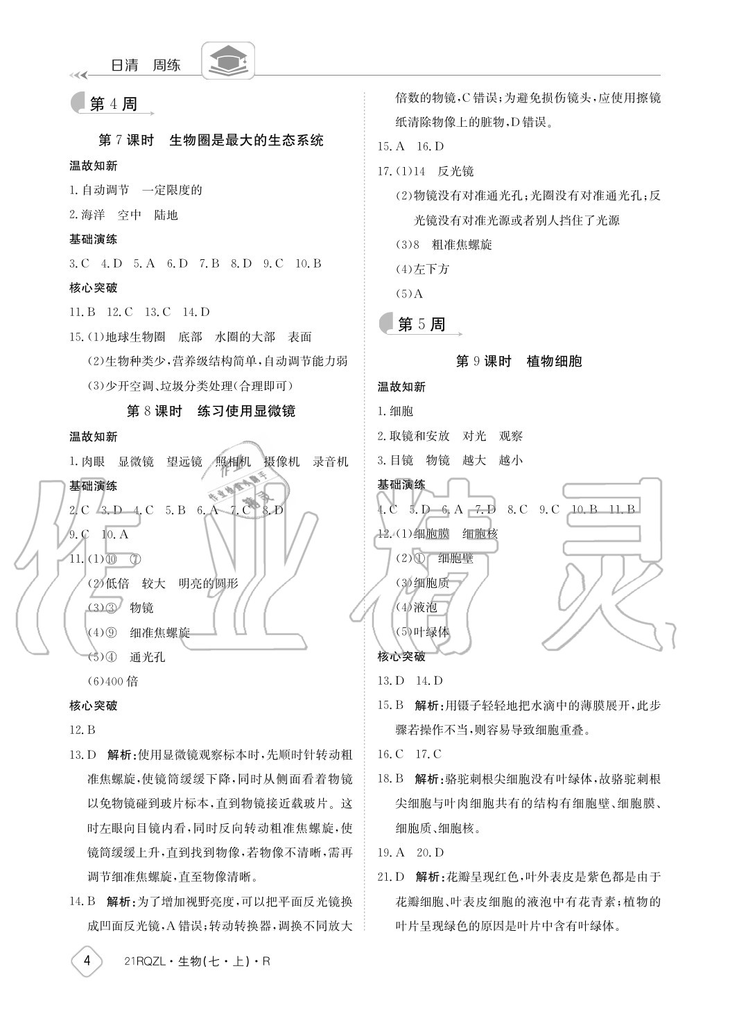 2020年日清周練七年級(jí)生物上冊(cè)人教版 參考答案第4頁(yè)