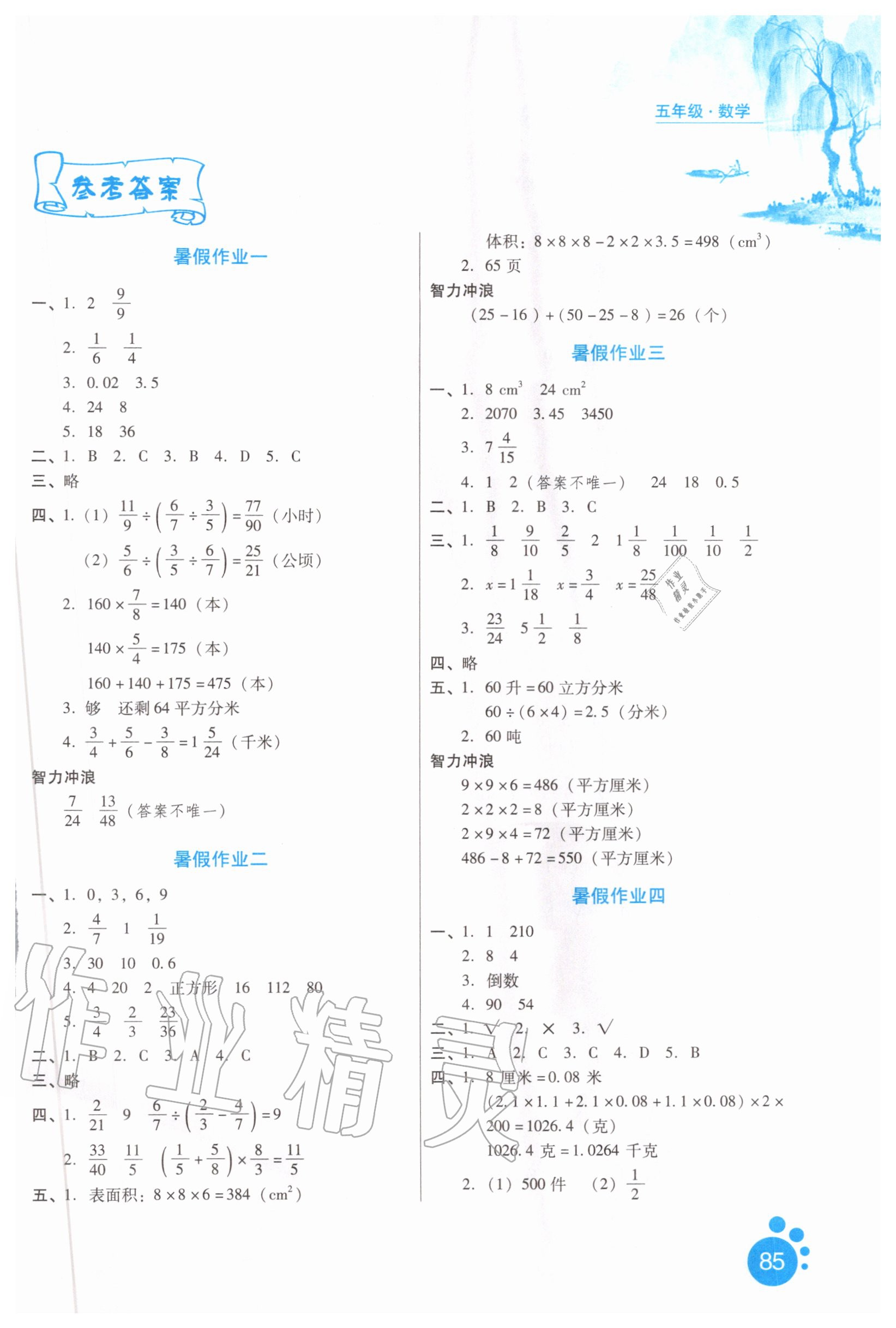 2020年暑假生活五年级数学河北人民出版社