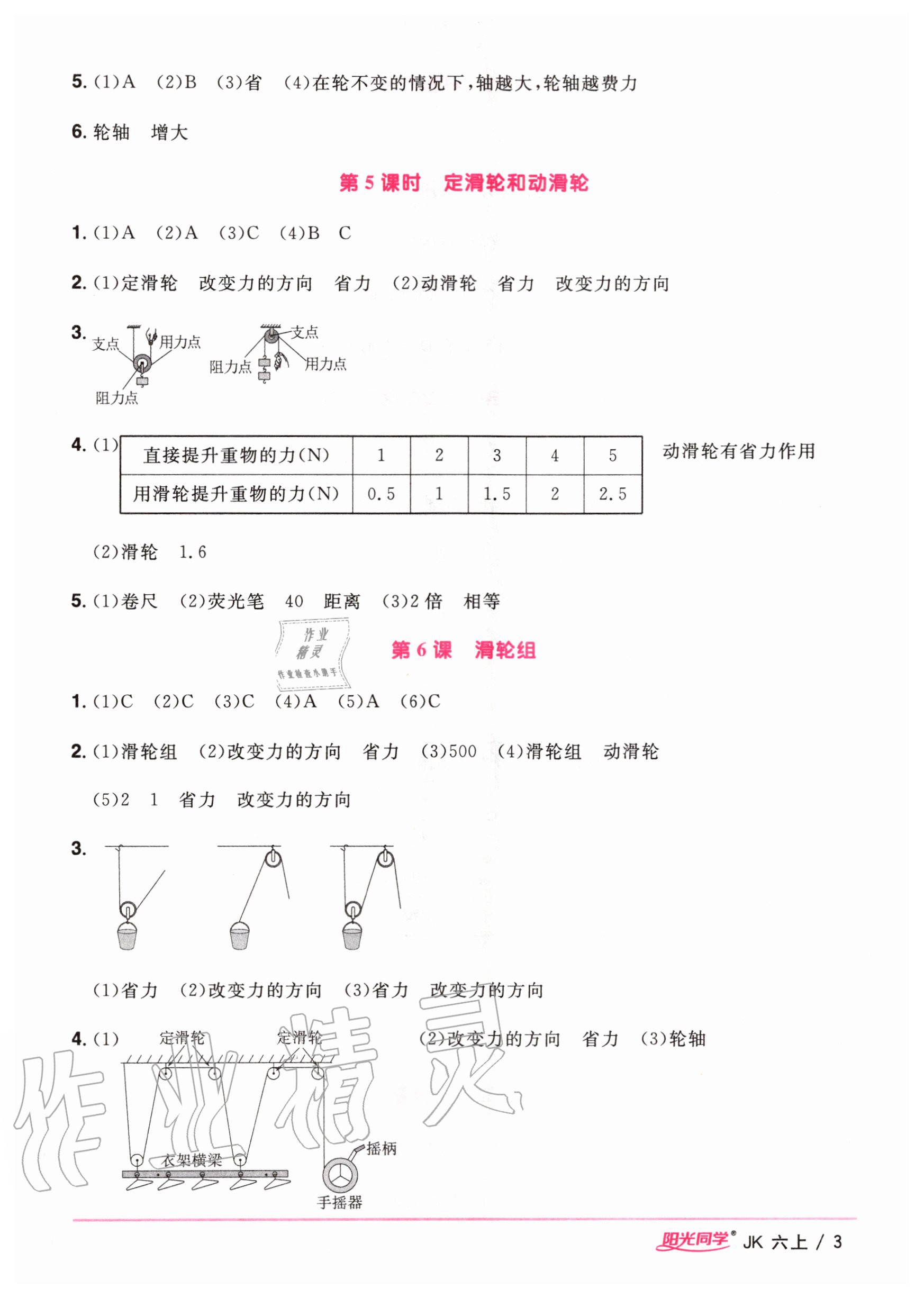 2020年阳光同学课时优化作业六年级科学上册教科版 参考答案第3页