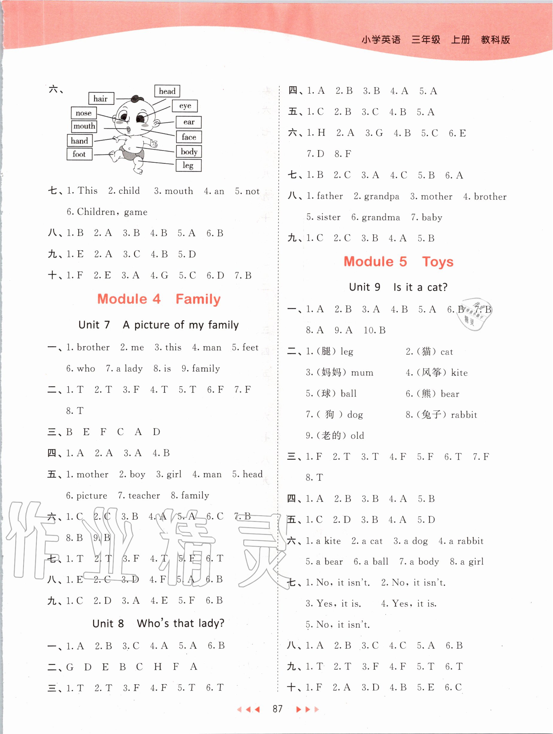 2020年53天天練三年級(jí)英語(yǔ)上冊(cè)教科版廣州專用 第3頁(yè)