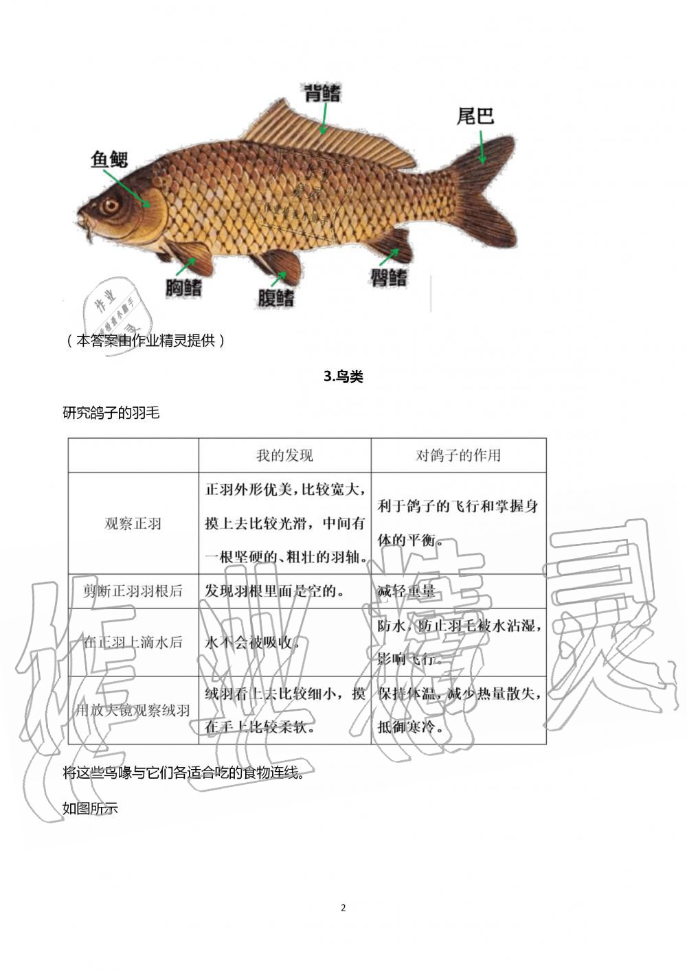 2020年学生活动手册四年级科学上册苏教版江苏凤凰教育出版社 第2页