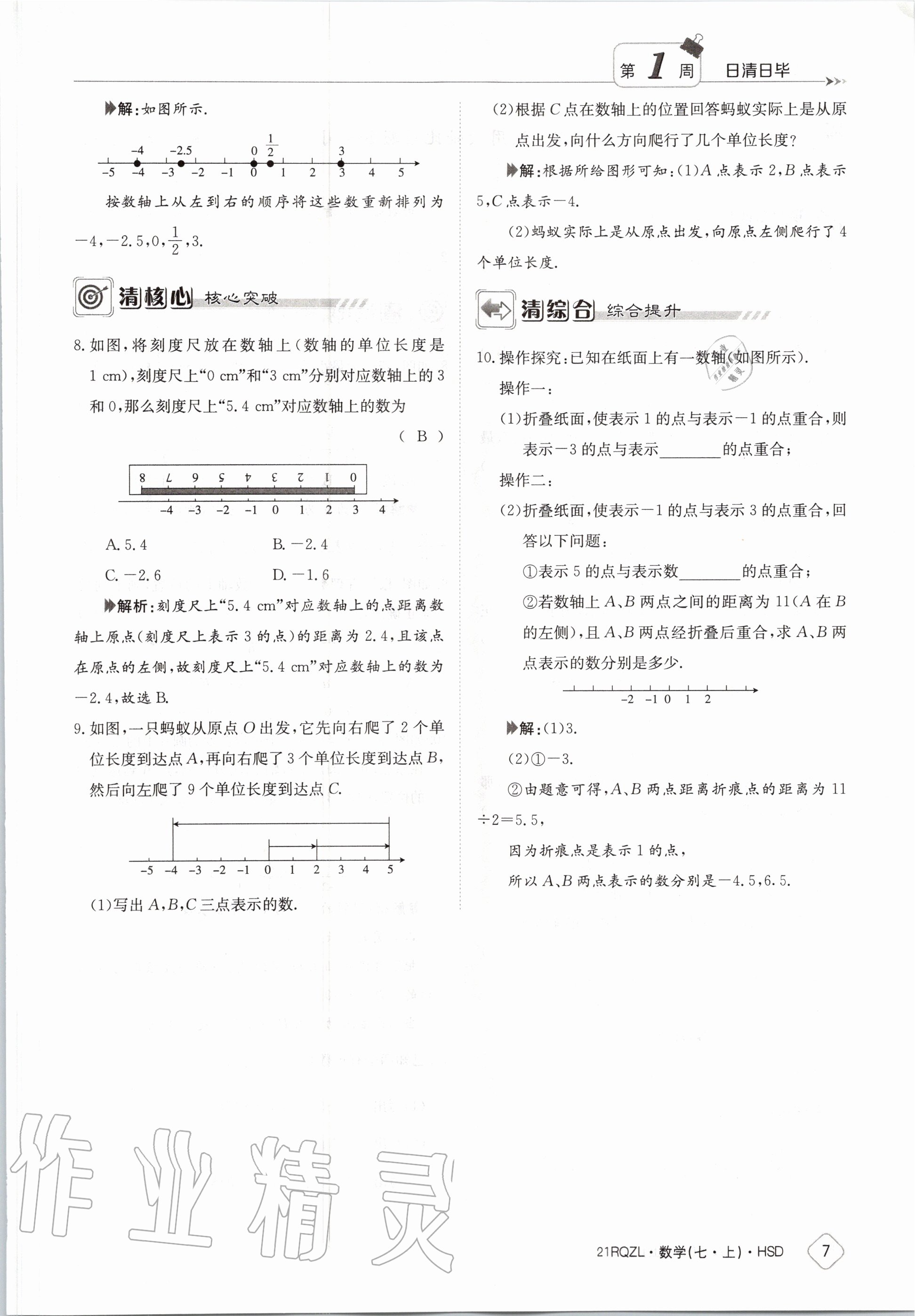 2020年日清周練七年級數(shù)學(xué)上冊華師大版 第13頁