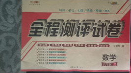 2020年全程測(cè)評(píng)試卷八年級(jí)數(shù)學(xué)上冊(cè)人教版