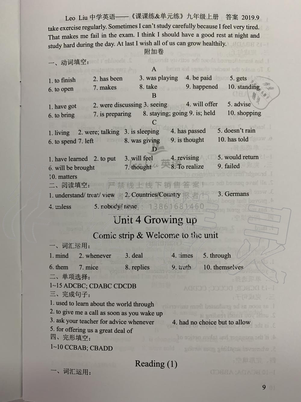 2020年LeoLiu中学英语九年级上册译林版 第9页