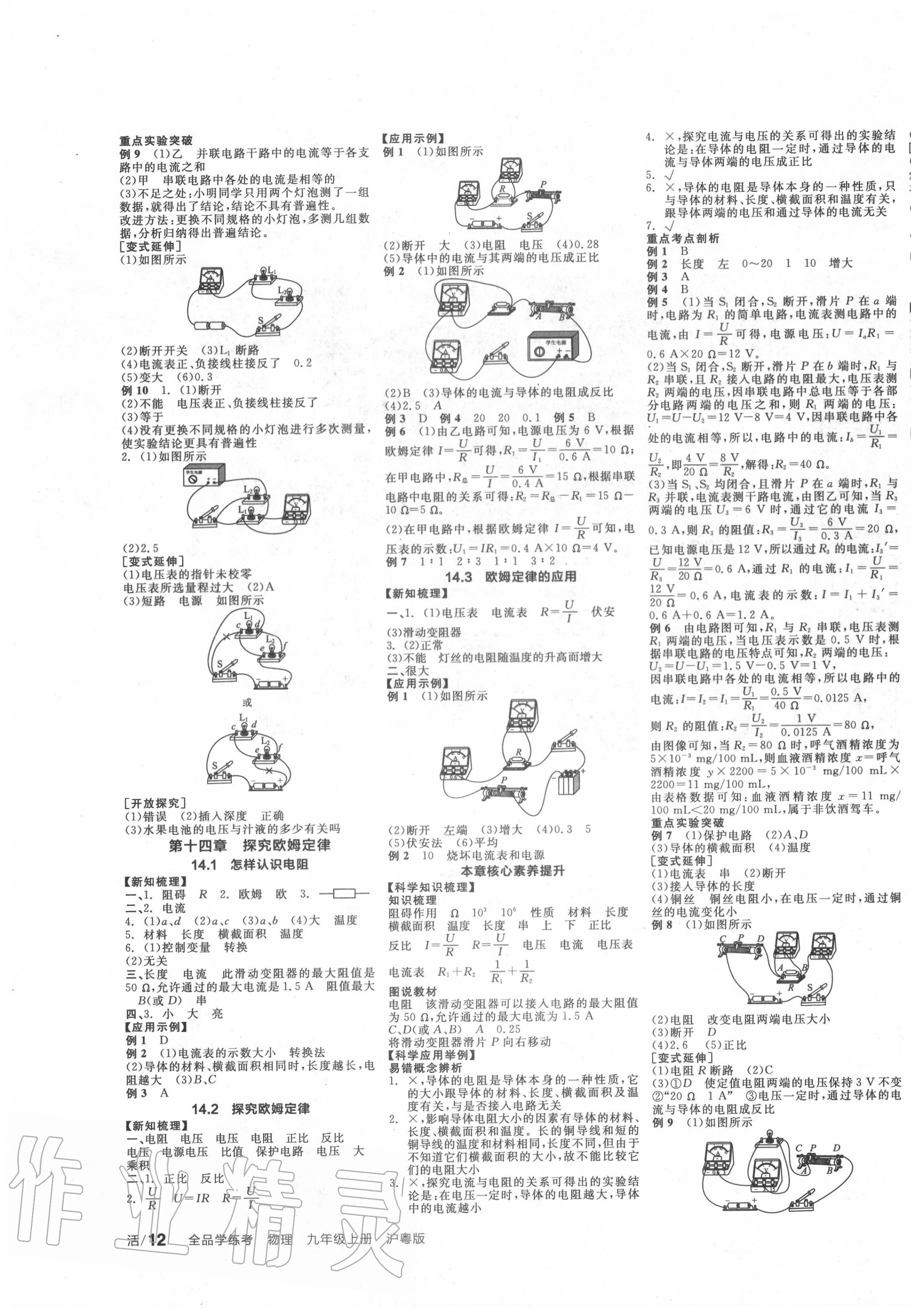 2020年全品學(xué)練考九年級物理上冊滬粵版 第3頁