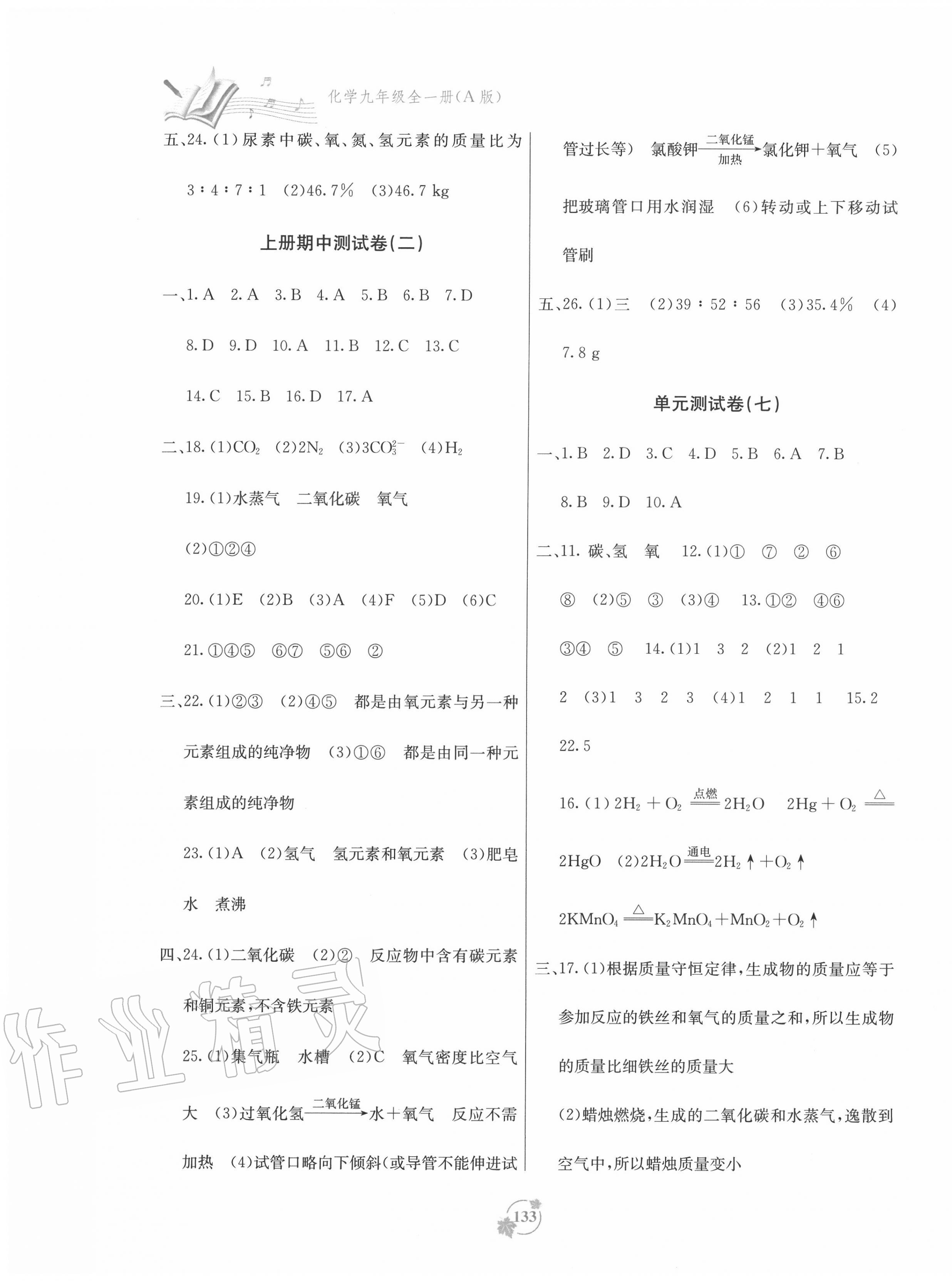 2020年自主学习能力测评单元测试九年级化学全一册人教版 第5页