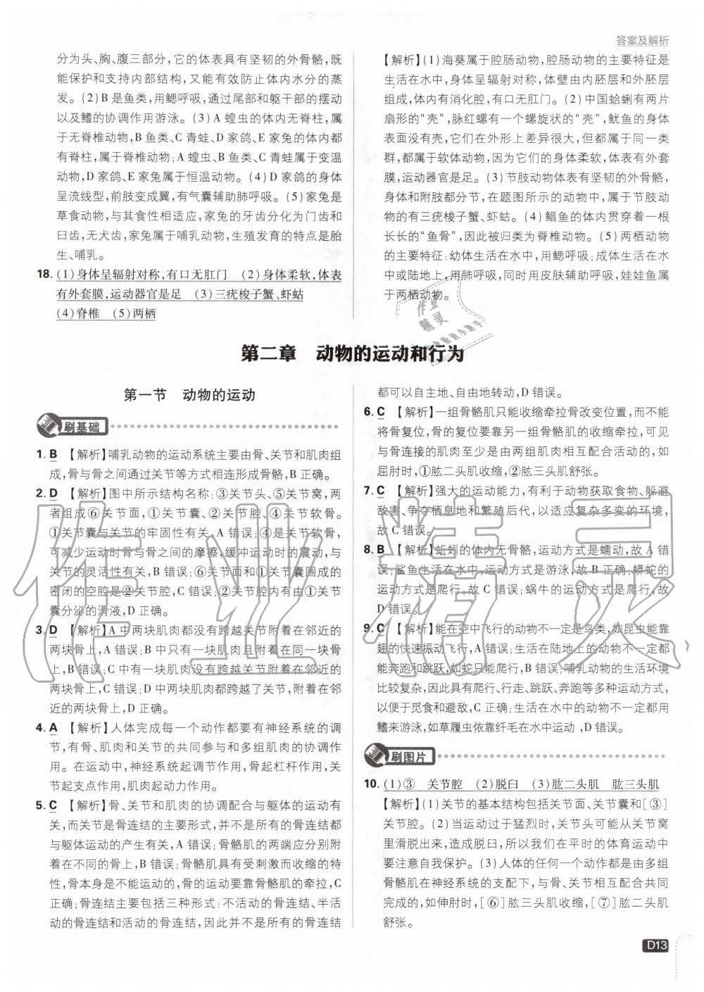 2020年初中必刷題八年級(jí)生物上冊人教版 參考答案第13頁