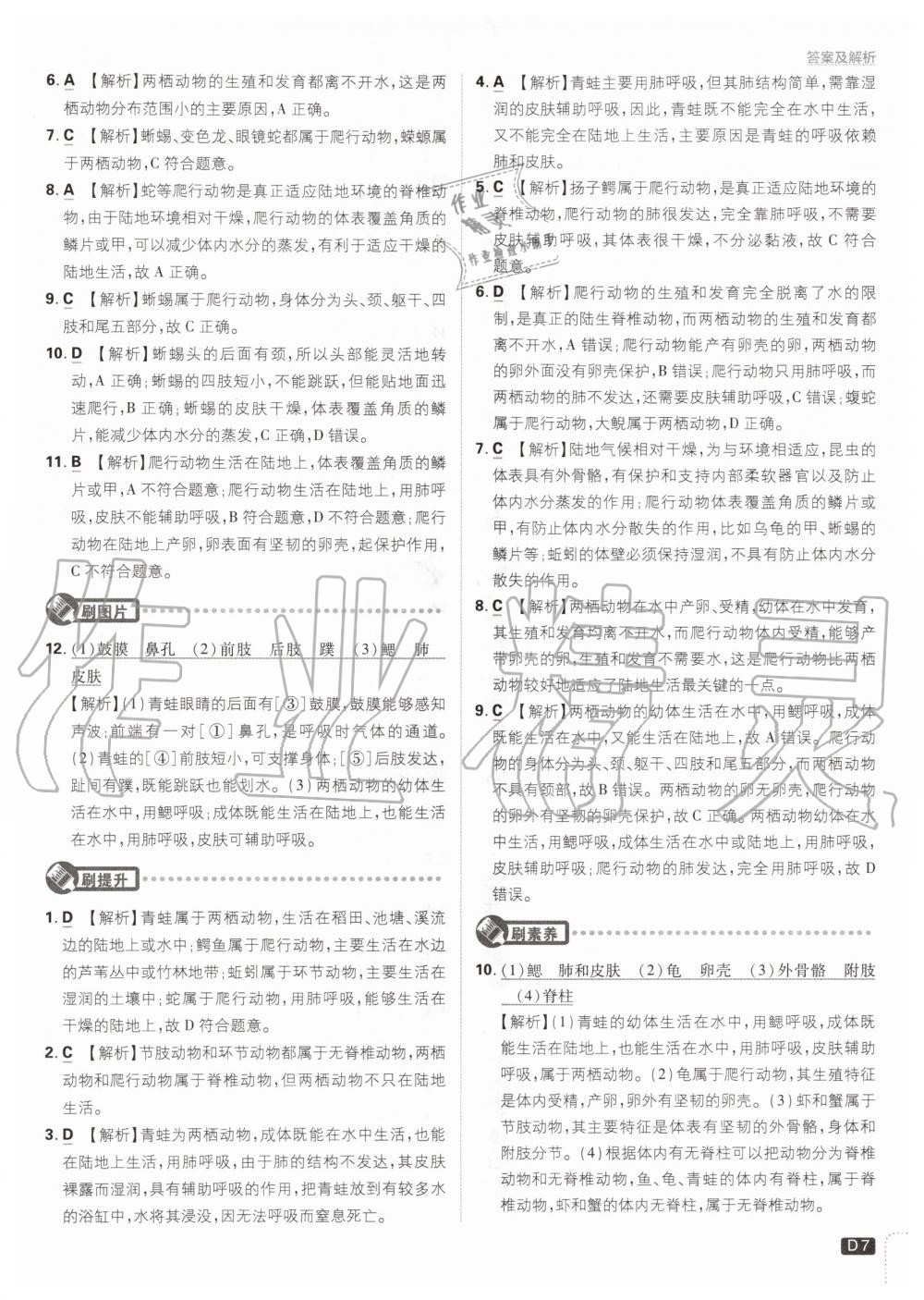 2020年初中必刷題八年級(jí)生物上冊(cè)人教版 參考答案第7頁