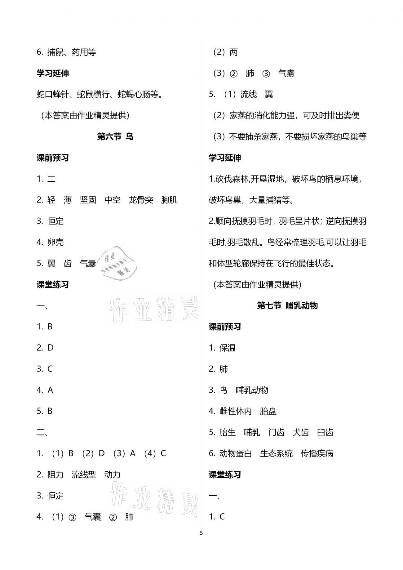 2020年基礎訓練八年級生物學上冊人教版大象出版社 參考答案第5頁