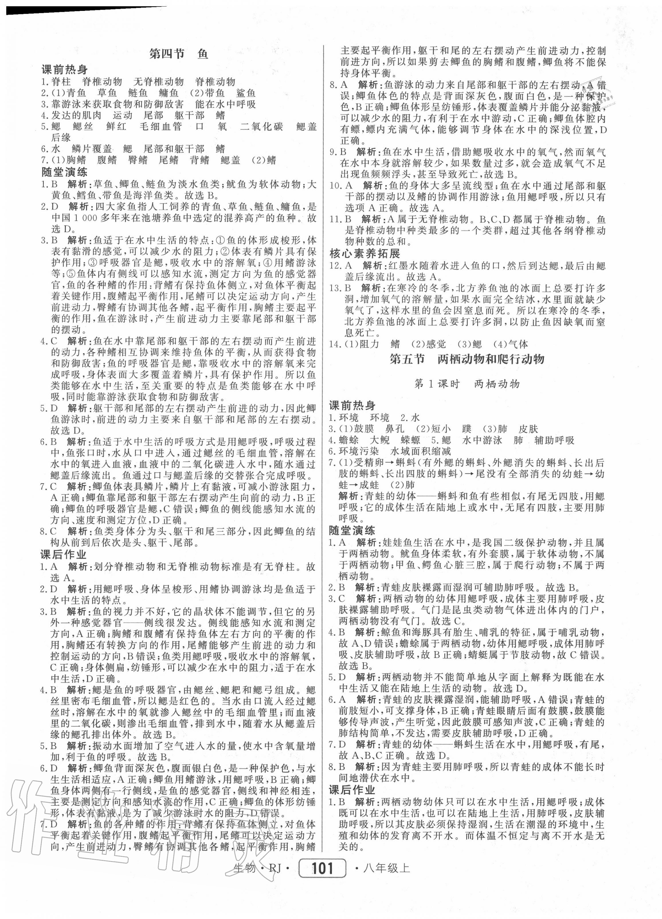 2020年紅對勾45分鐘作業(yè)與單元評估八年級生物上冊人教版 參考答案第5頁