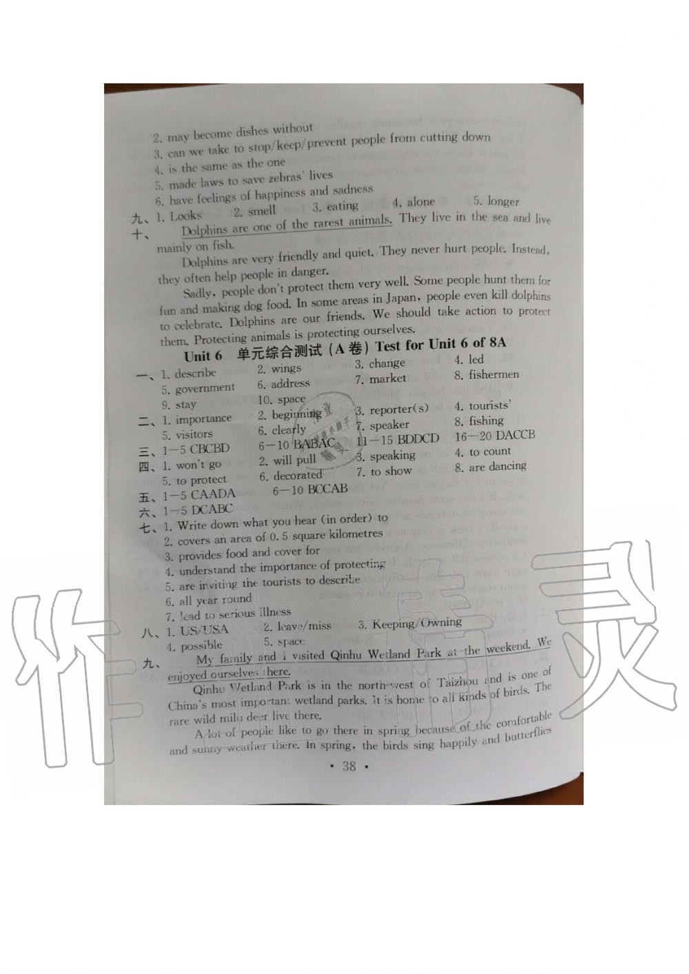 单元综合测试卷（A卷） Test for Unit 6 of 8A - 参考答案第38页
