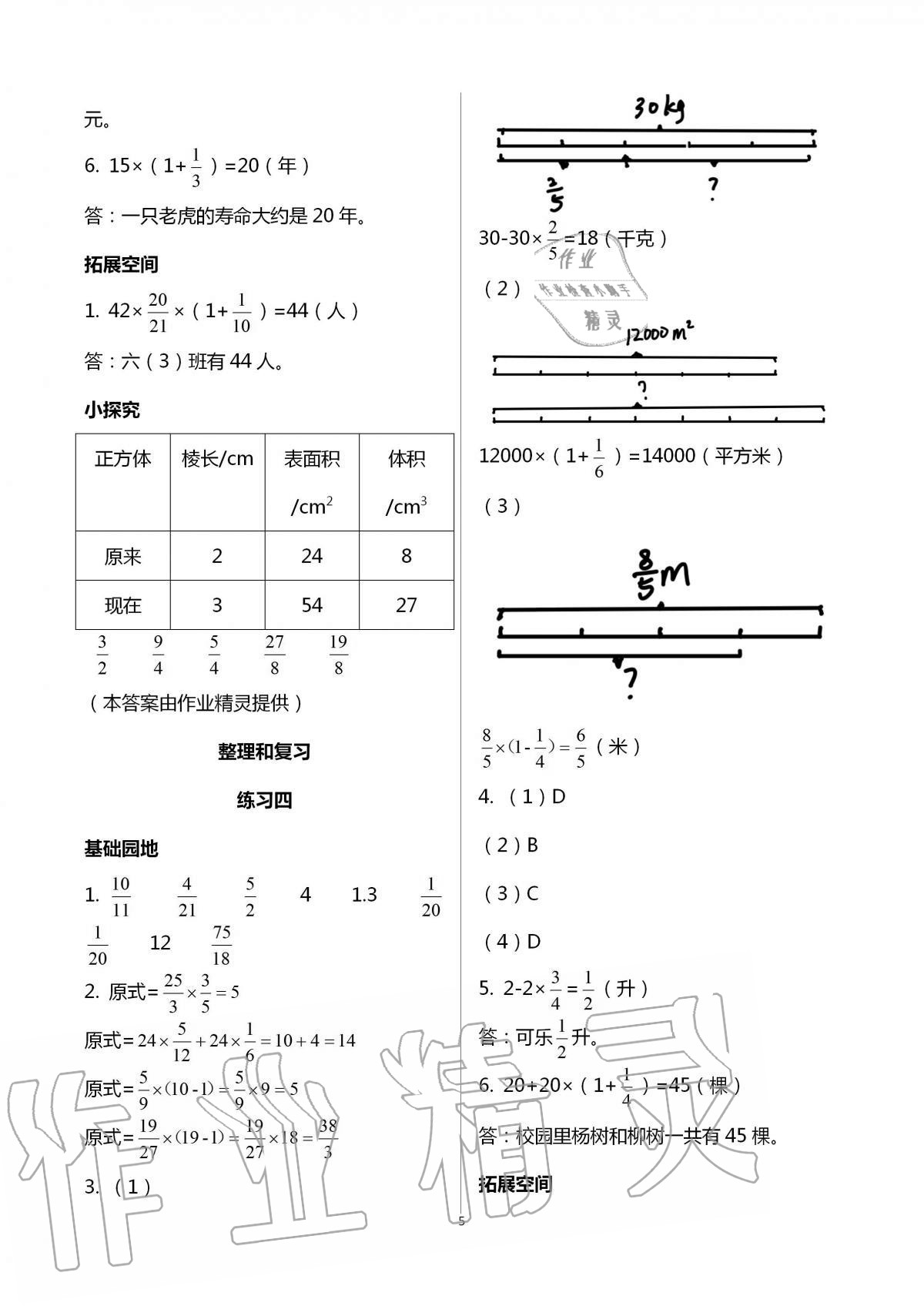 2020年新编基础训练六年级数学上册人教版 第5页