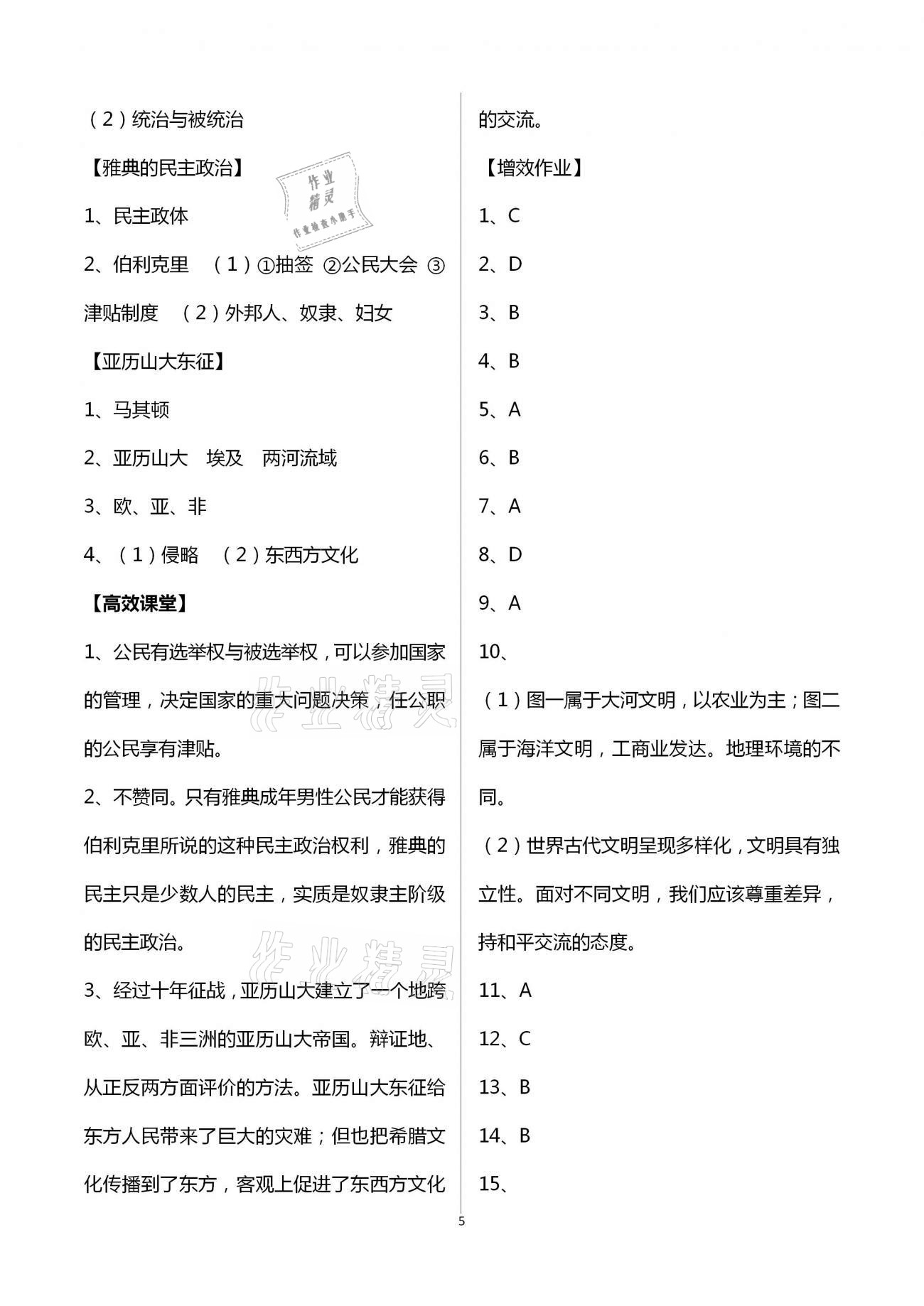 2020年人教金学典同步解析与测评九年级世界历史上册人教版重庆专版 第5页