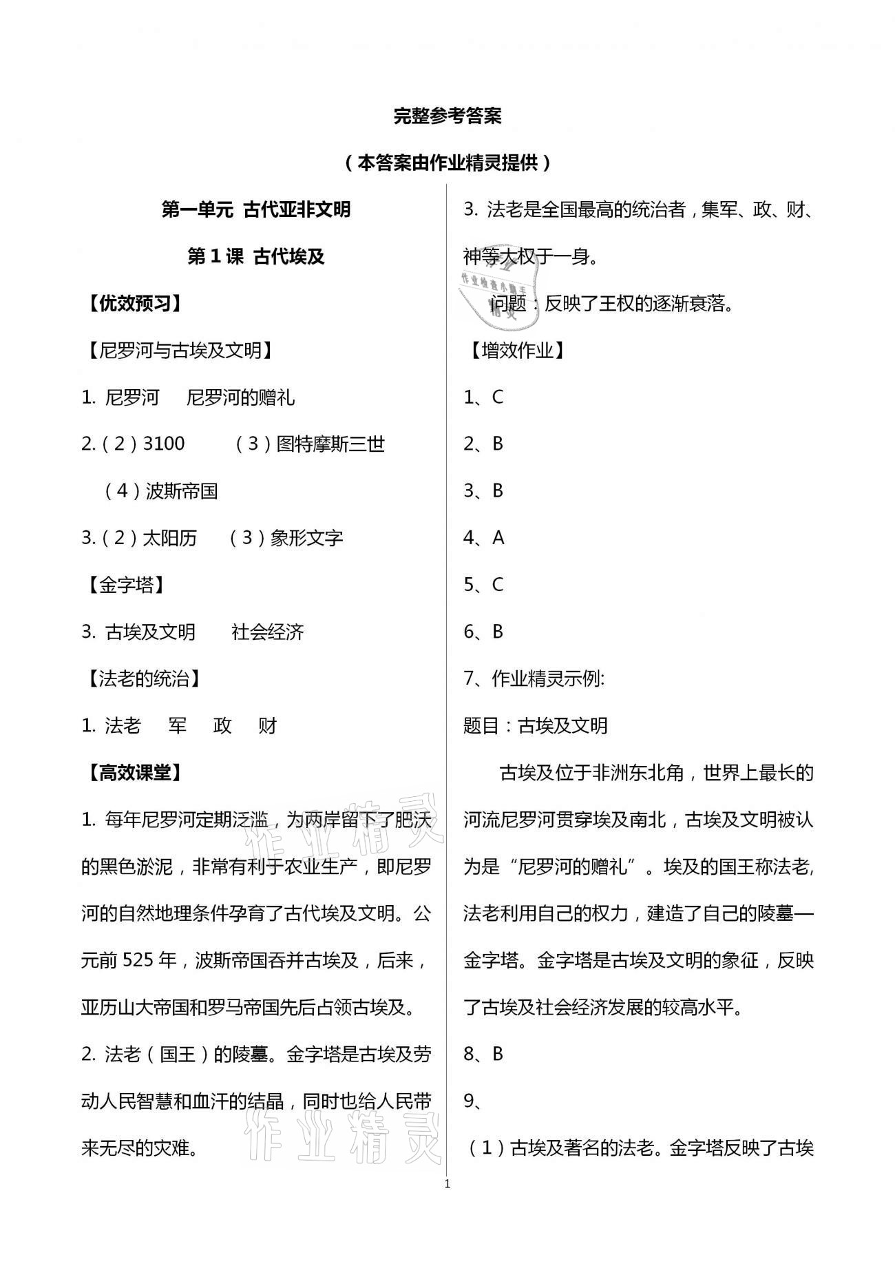 2020年人教金学典同步解析与测评九年级世界历史上册人教版重庆专版 第1页