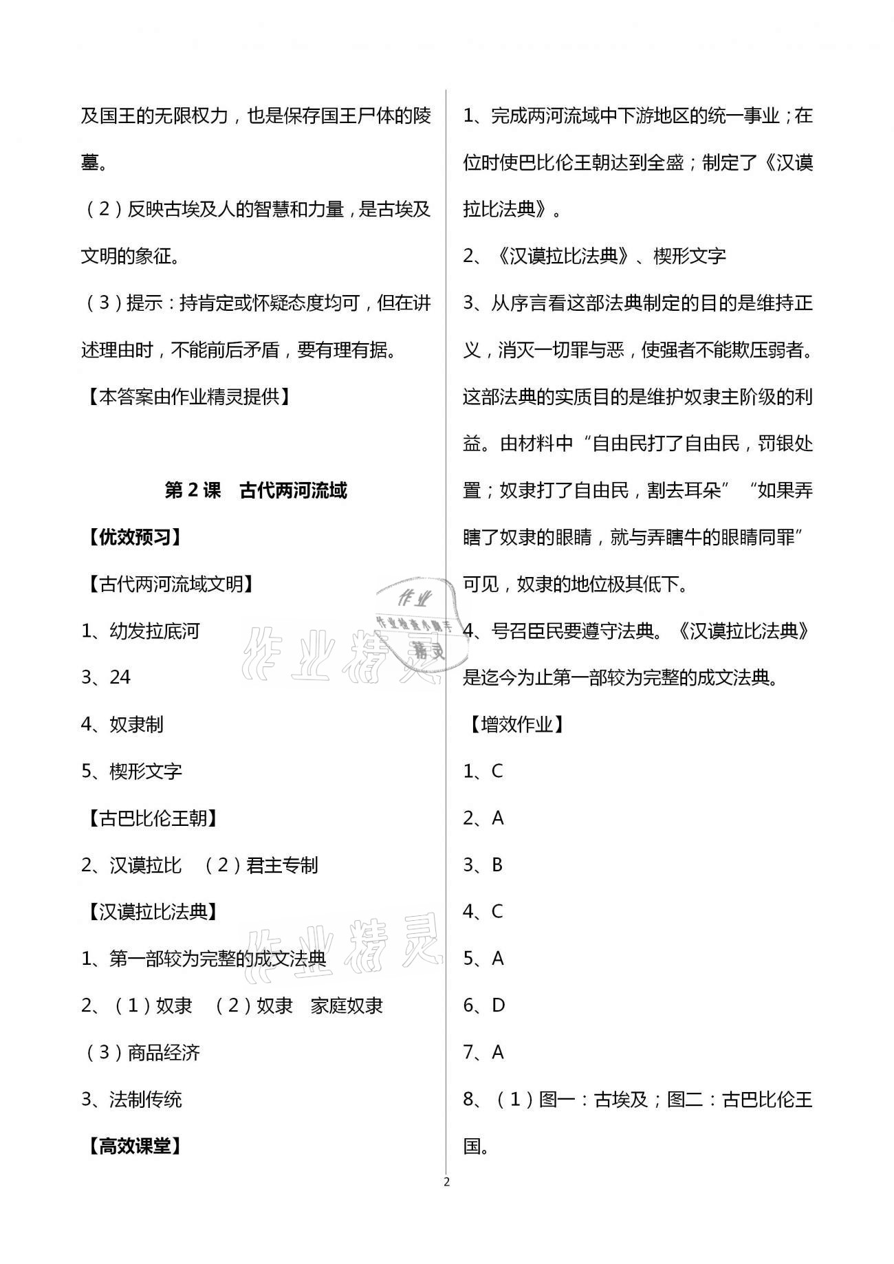 2020年人教金学典同步解析与测评九年级世界历史上册人教版重庆专版 第2页