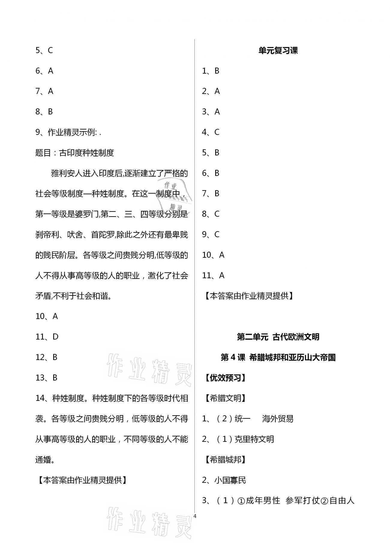 2020年人教金学典同步解析与测评九年级世界历史上册人教版重庆专版 第4页