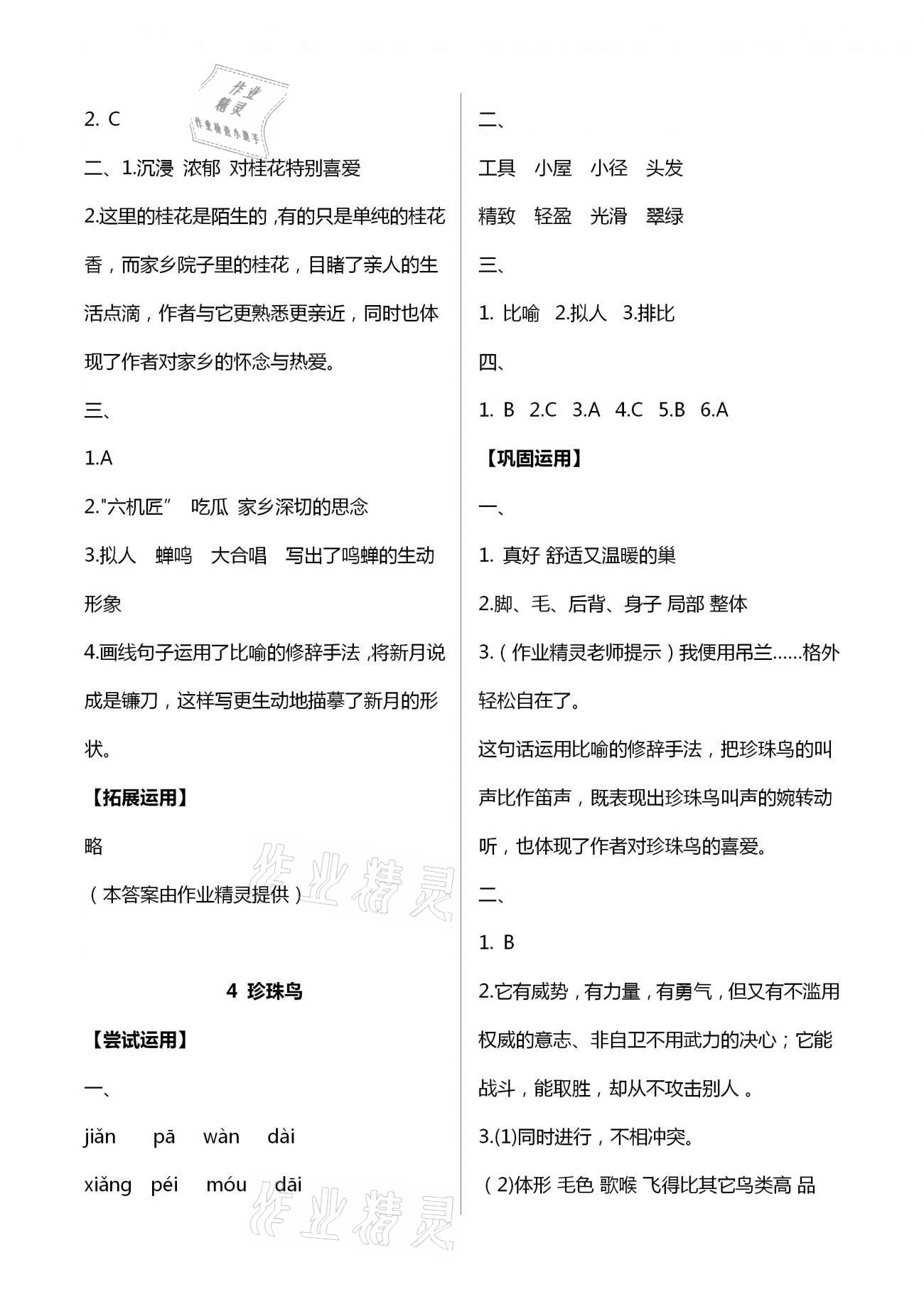 2020年学习指要五年级语文上册人教版 第3页