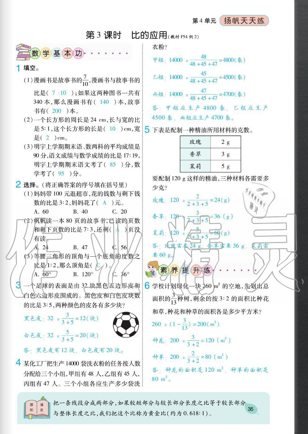 2020年扬帆文化扬帆天天练六年级数学上册人教版 参考答案第35页