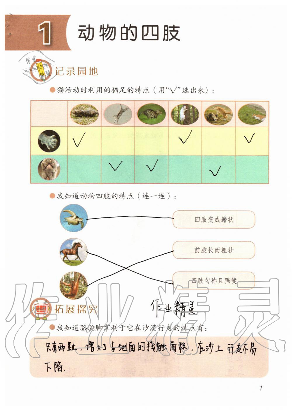 2020年科学学生活动手册三年级上册青岛版 参考答案第1页