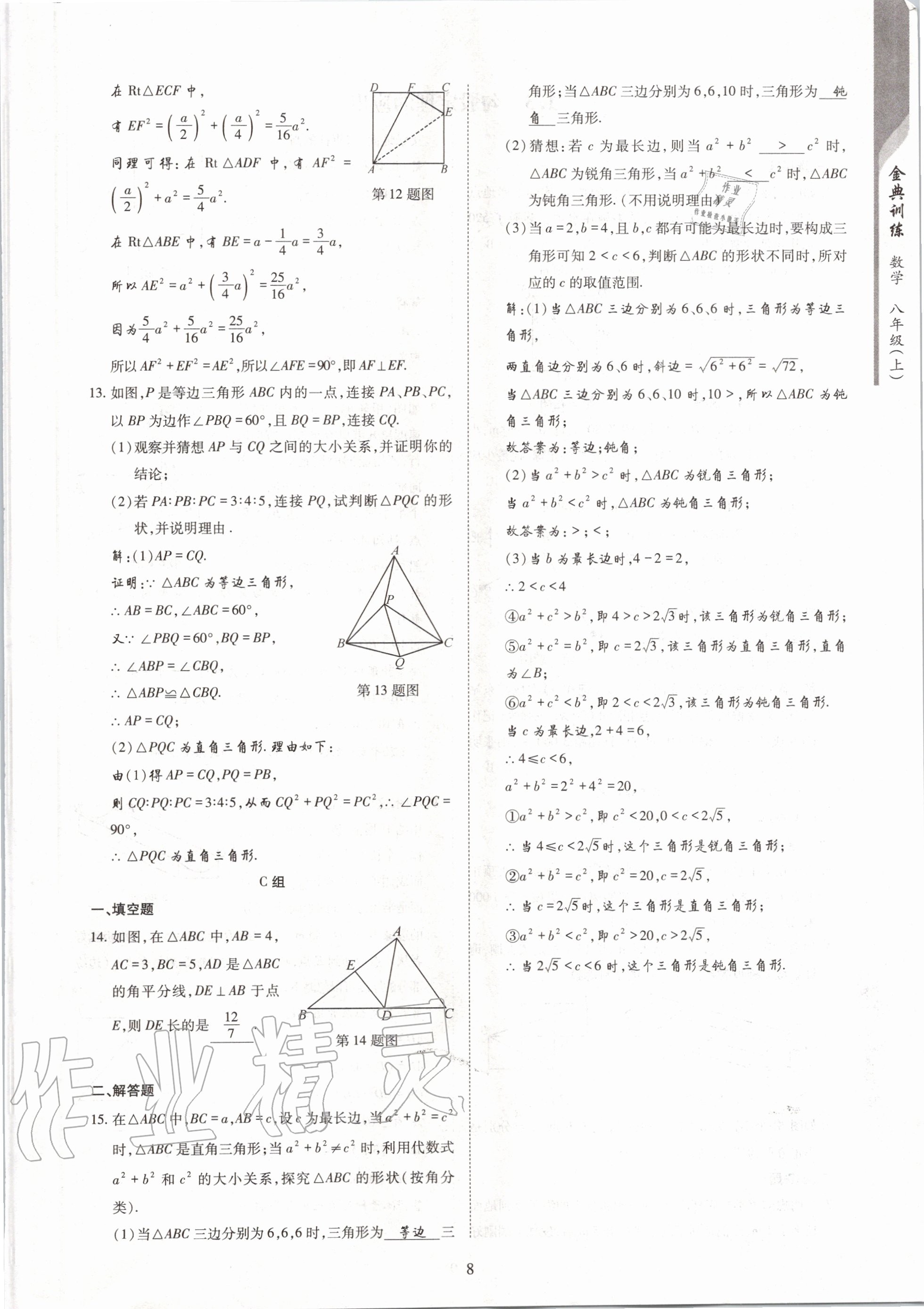 2020年金典训练八年级数学上册北师大版 参考答案第8页