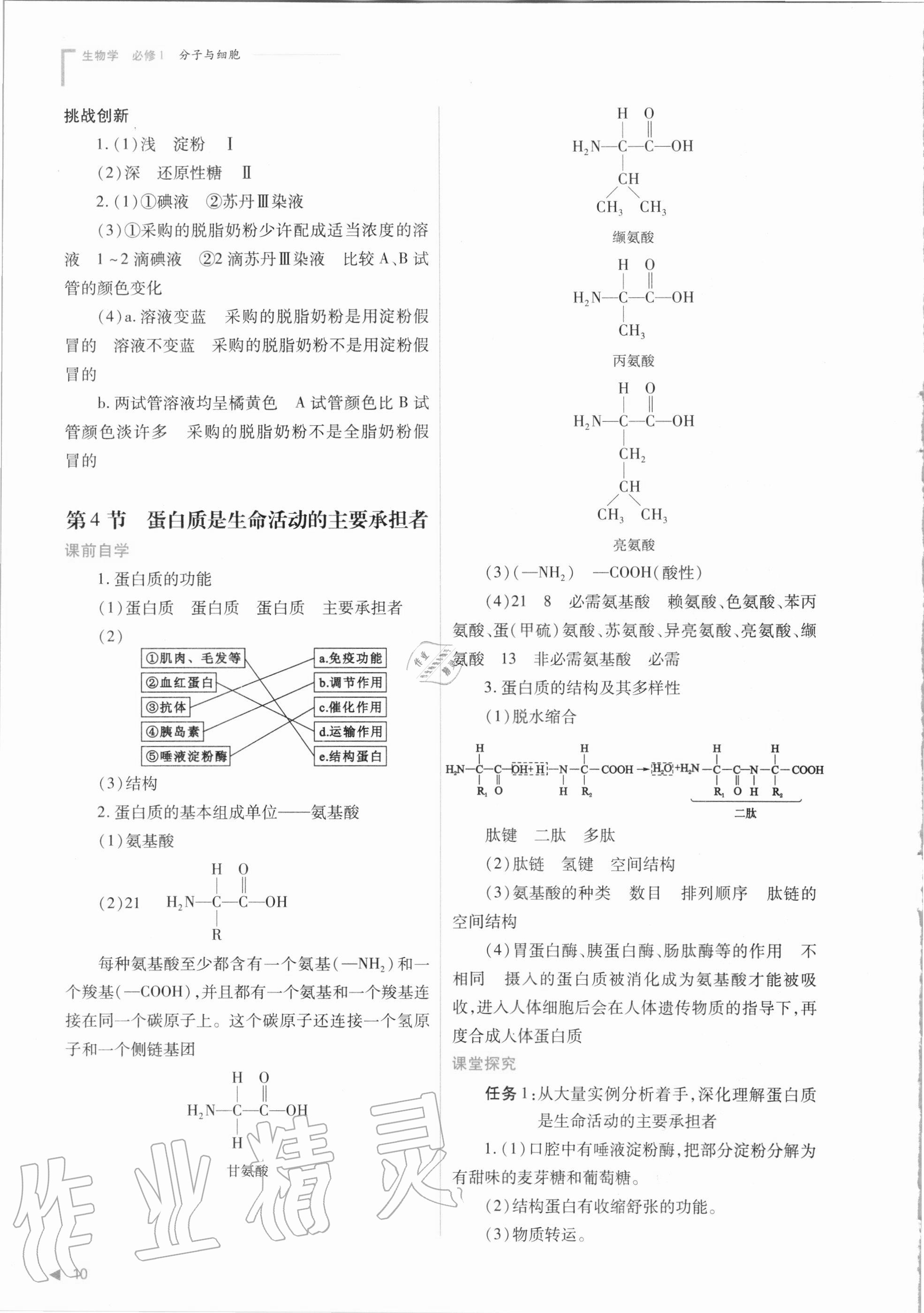 2020年普通高中新課程同步練習冊生物學必修1分子與細胞人教版 參考答案第10頁