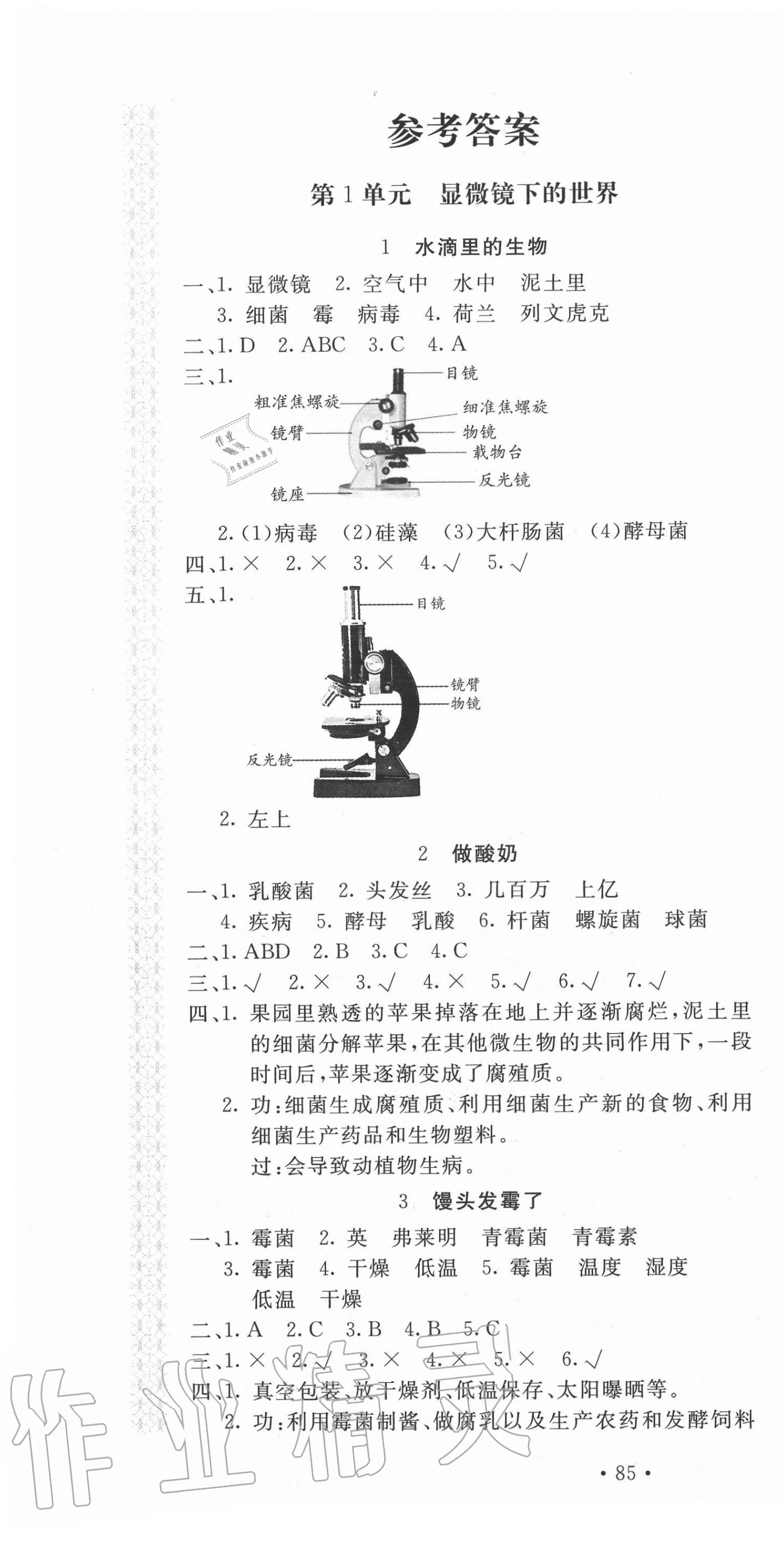 2020年新課堂同步訓練六年級科學上冊江蘇版 第1頁