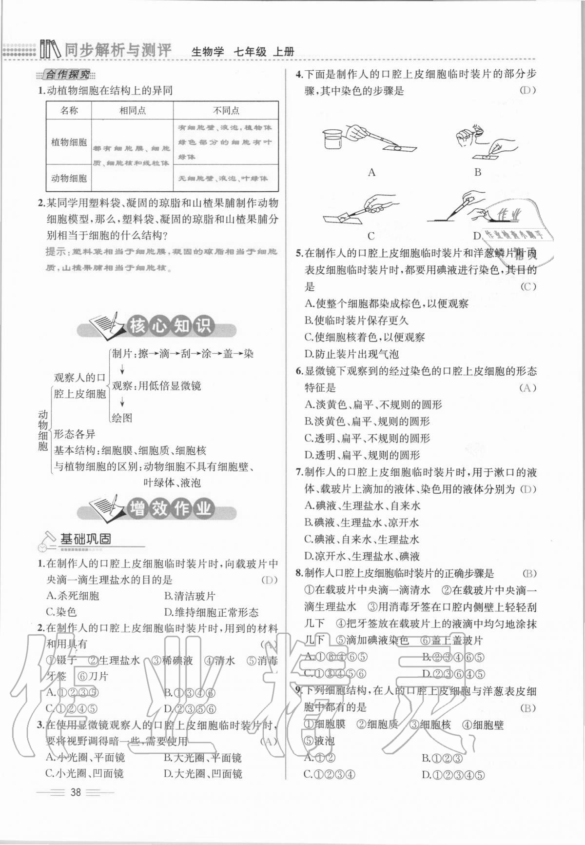 2020年人教金學(xué)典同步解析與測(cè)評(píng)七年級(jí)生物學(xué)上冊(cè)人教版云南專版 第38頁(yè)