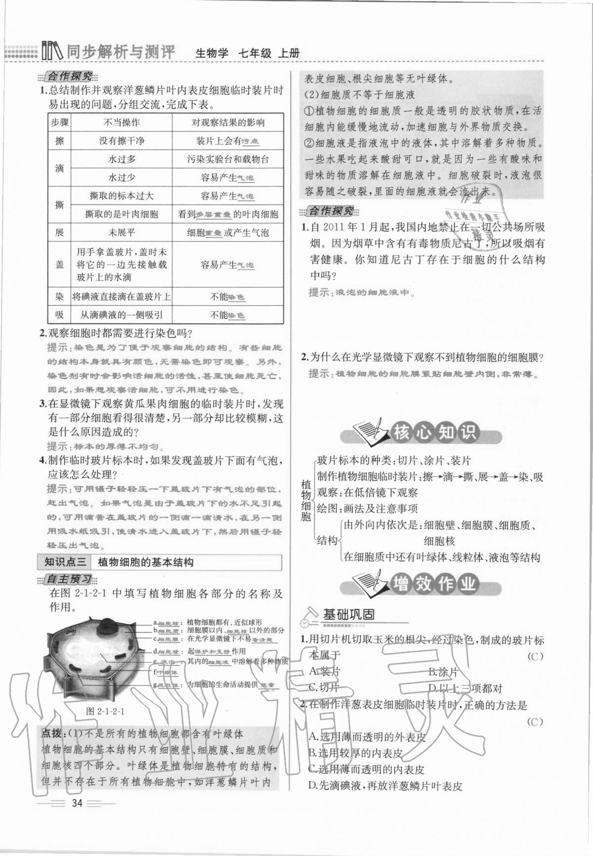 2020年人教金學(xué)典同步解析與測(cè)評(píng)七年級(jí)生物學(xué)上冊(cè)人教版云南專(zhuān)版 第34頁(yè)