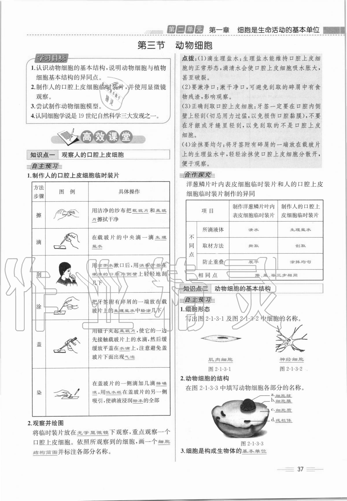 2020年人教金學典同步解析與測評七年級生物學上冊人教版云南專版 第37頁