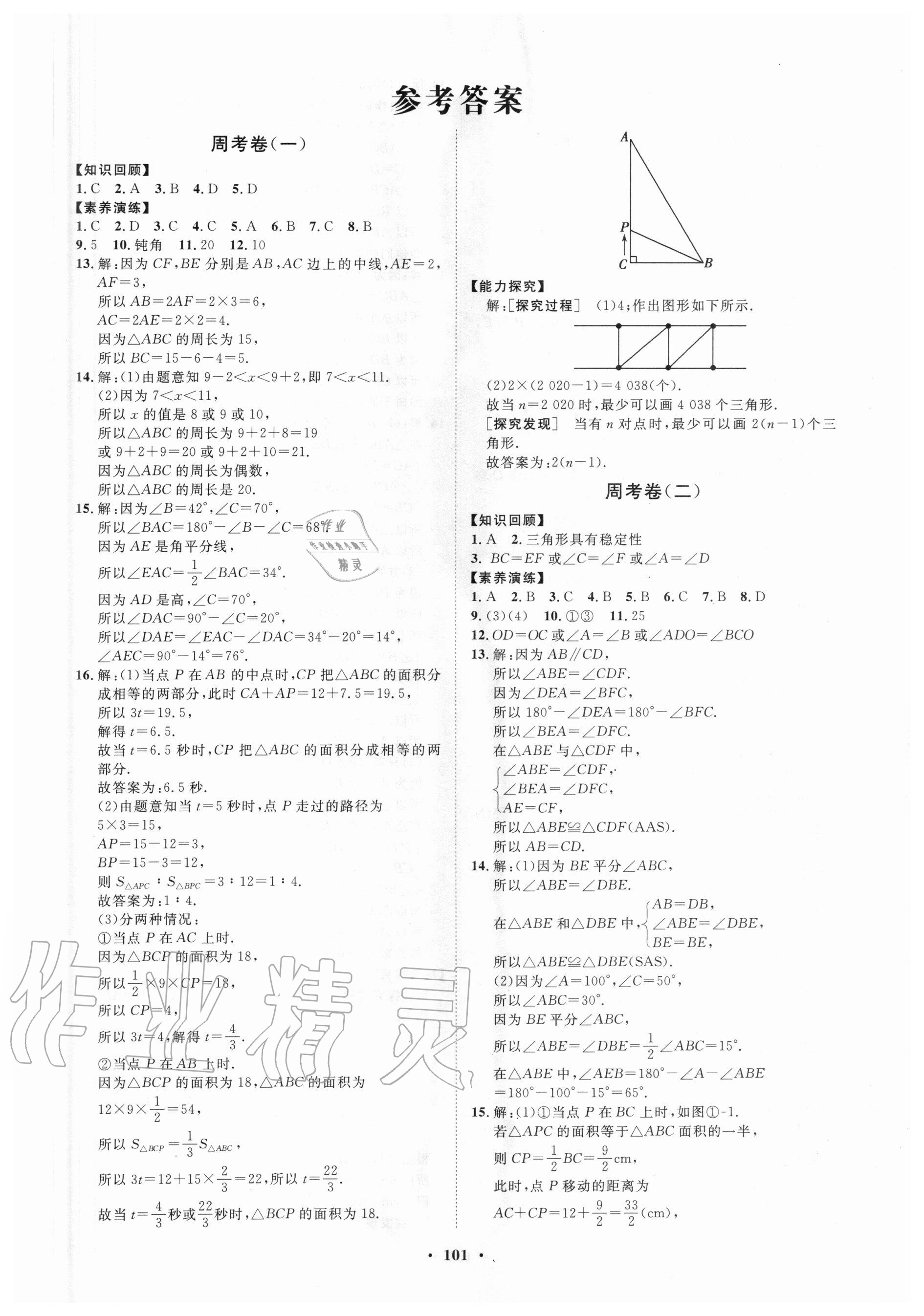 2020年初中同步练习册分层卷七年级数学上册鲁教版五四制 第1页