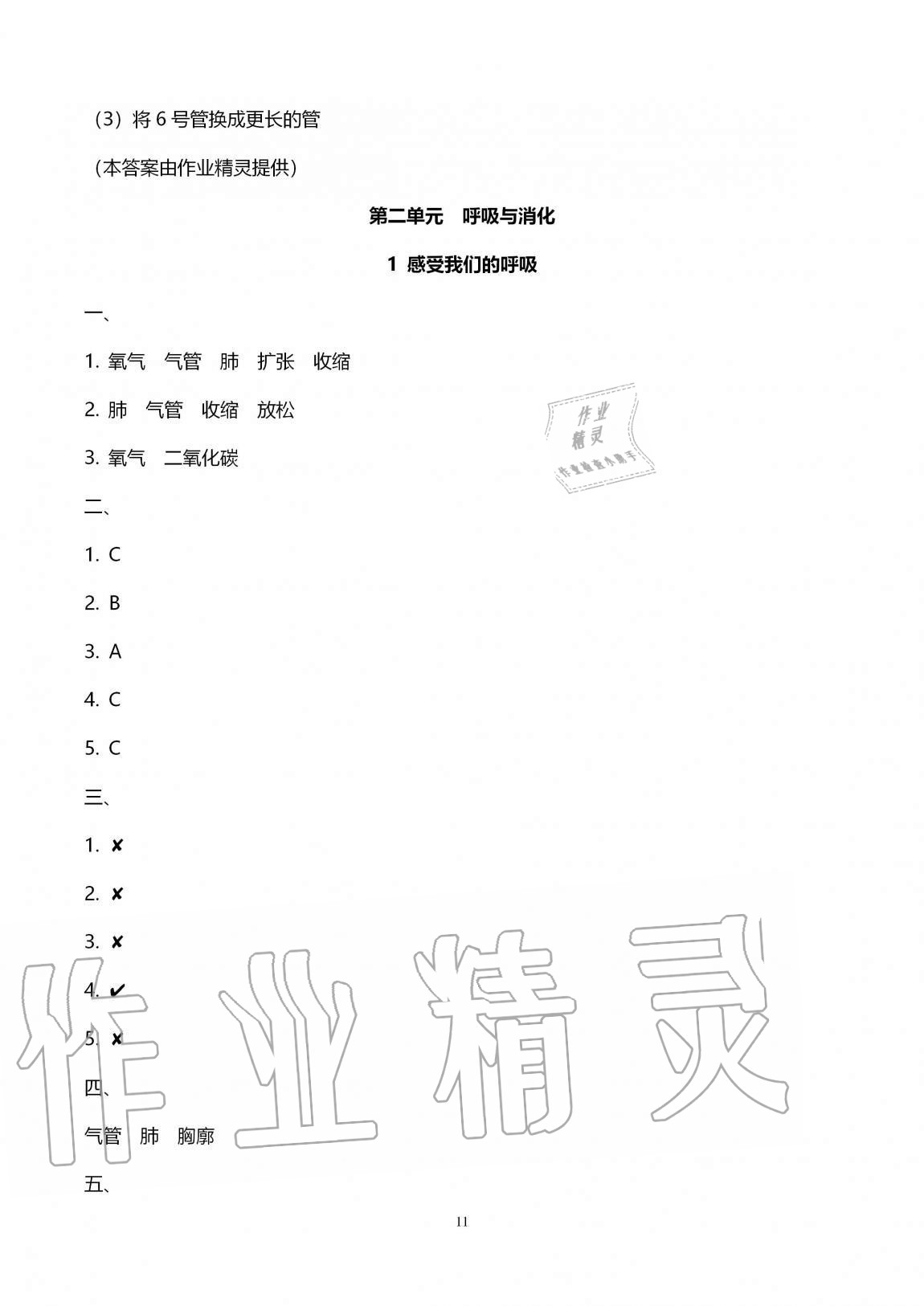 2020年云南省标准教辅同步指导训练与检测四年级科学上册教科版 第11页