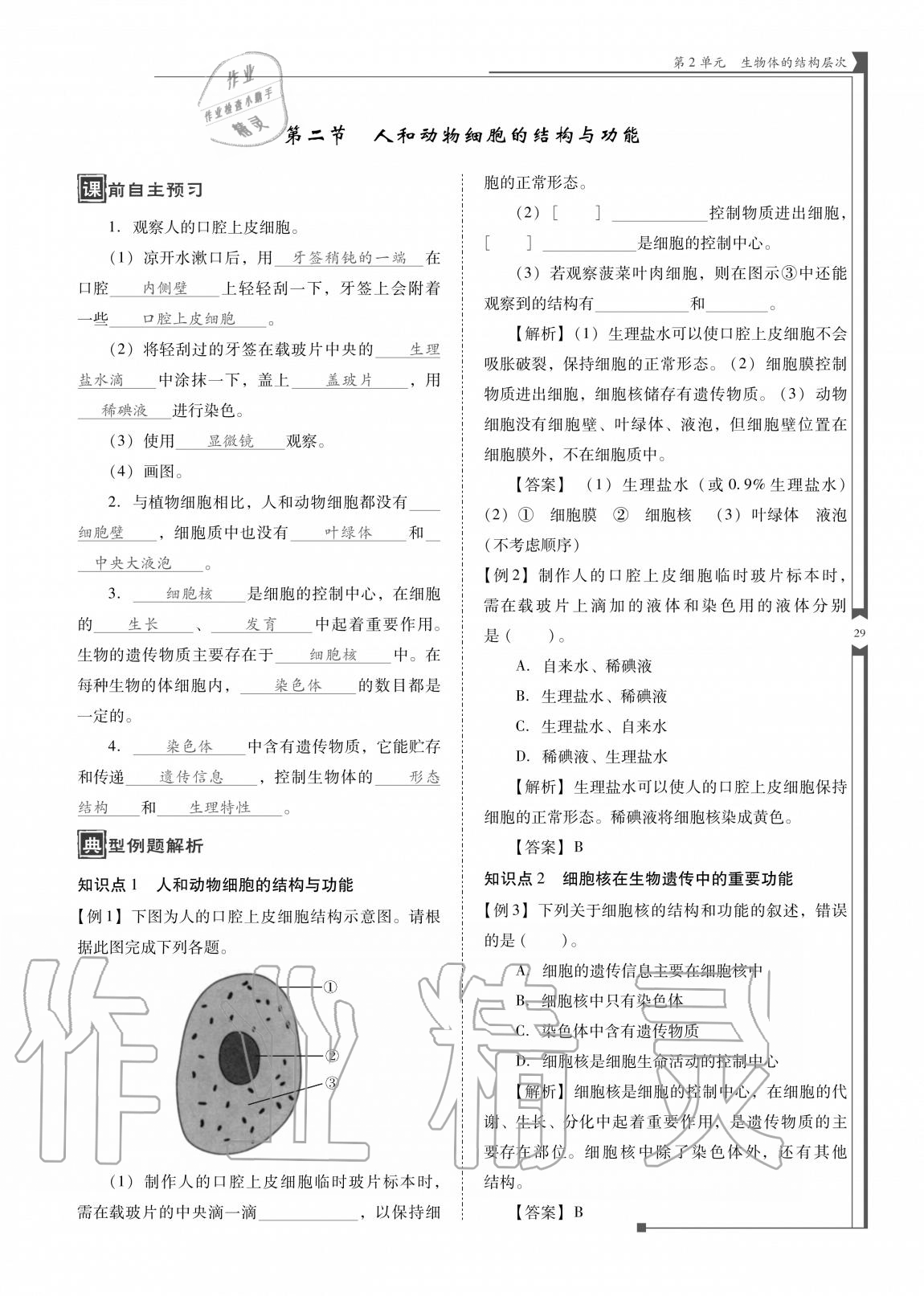 2020年云南省标准教辅优佳学案七年级生物上册苏教版 参考答案第29页