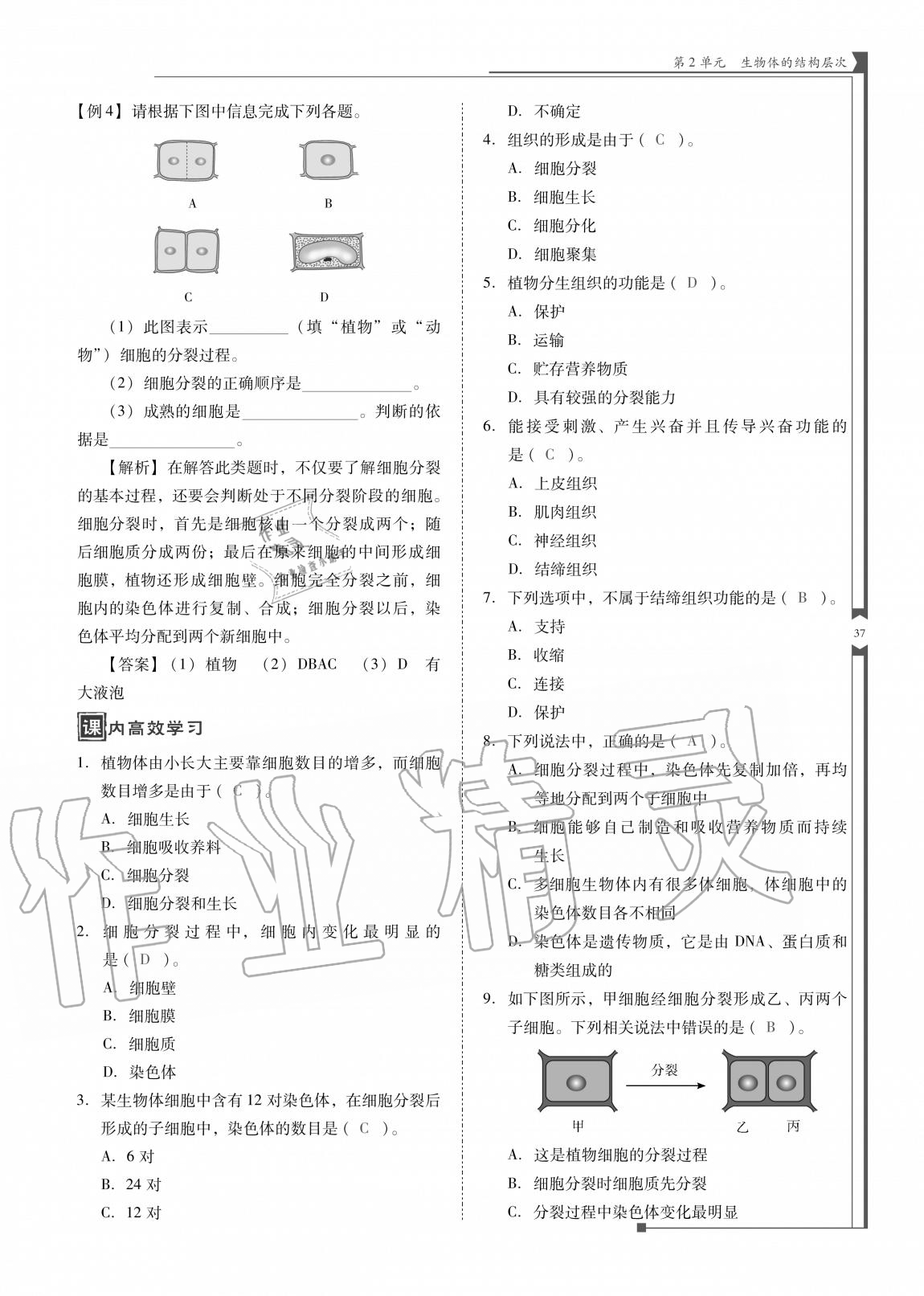 2020年云南省标准教辅优佳学案七年级生物上册苏教版 参考答案第37页