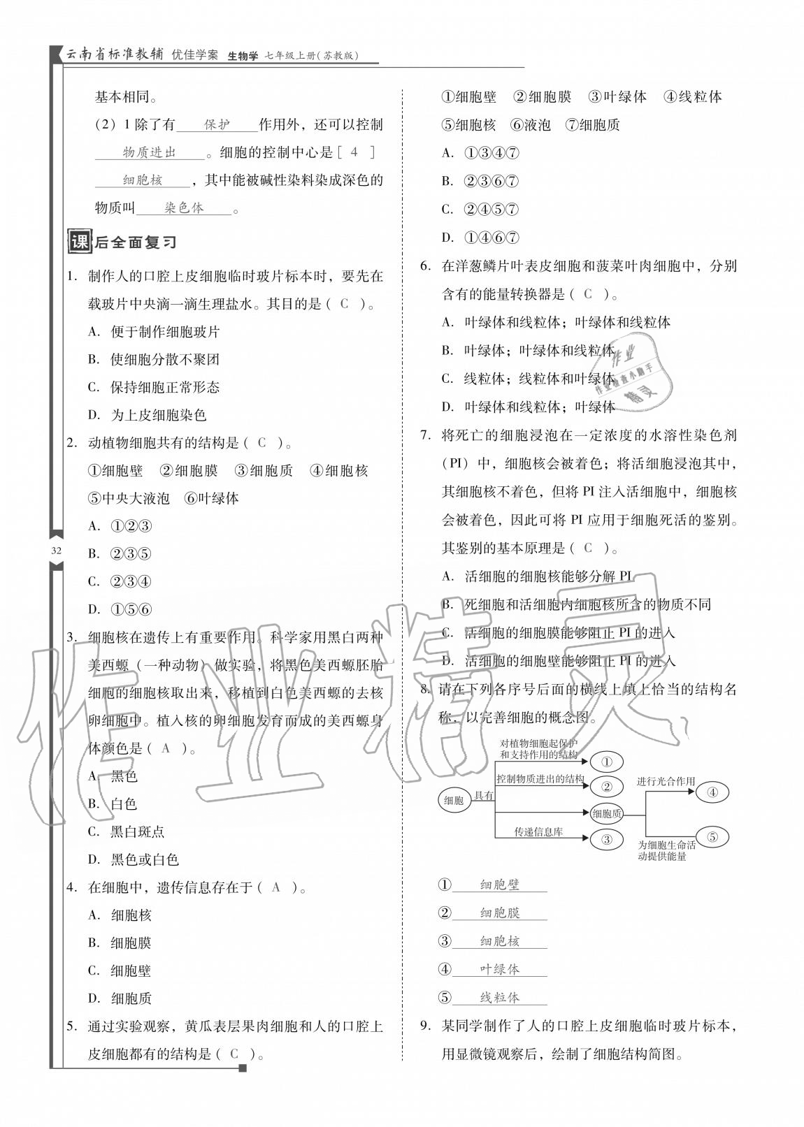 2020年云南省标准教辅优佳学案七年级生物上册苏教版 参考答案第32页