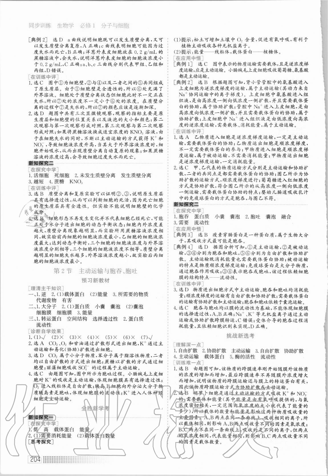 2020年同步训练高中生物必修1分子与细胞河北人民出版社 第12页