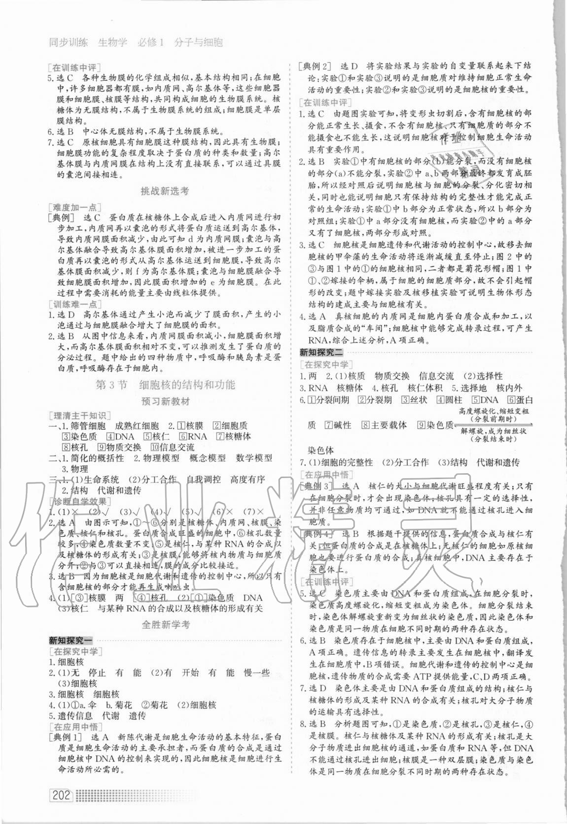 2020年同步训练高中生物必修1分子与细胞河北人民出版社 第10页